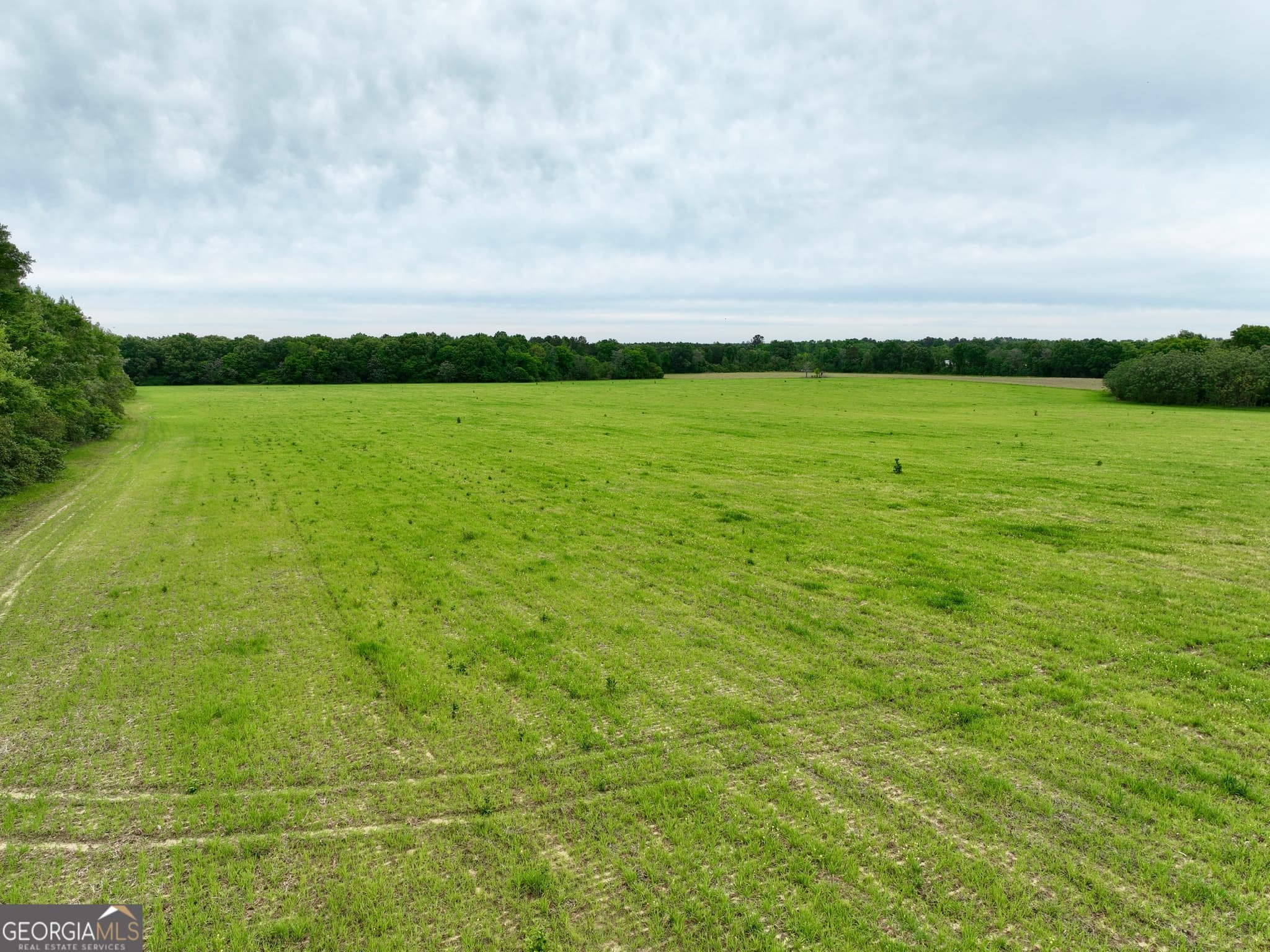 agriculture under contract at 0 Fourteen Lane Road, Hawkinsville, GA 31036 — photo 10