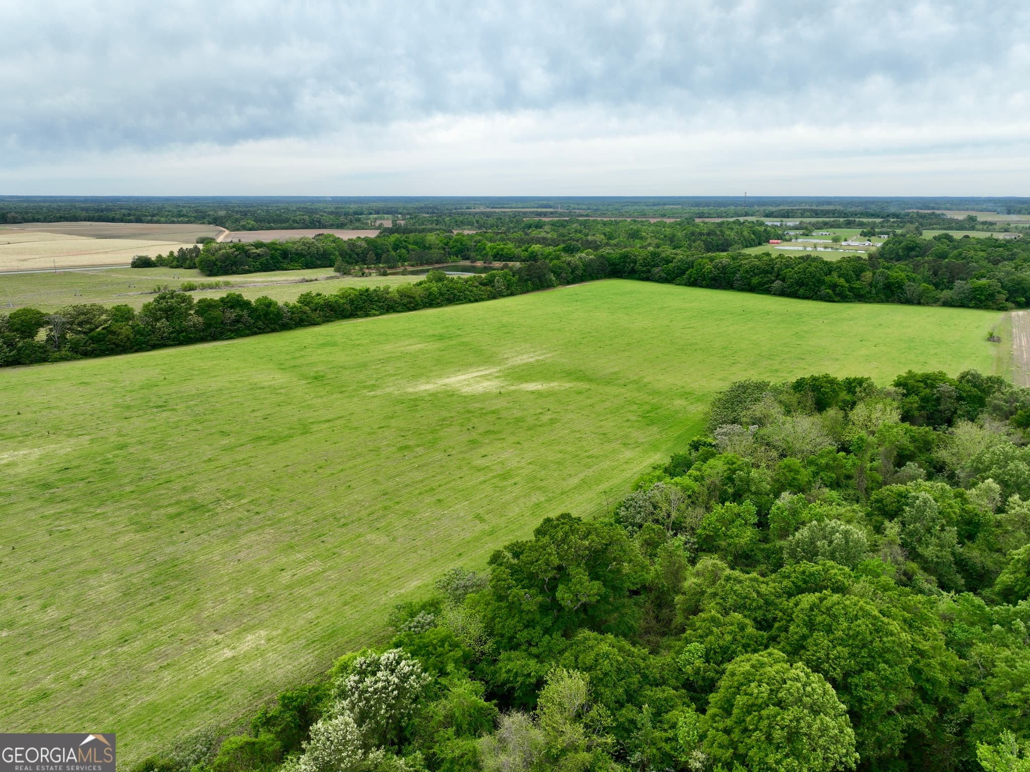 agriculture under contract at 0 Fourteen Lane Road, Hawkinsville, GA 31036 — photo 8