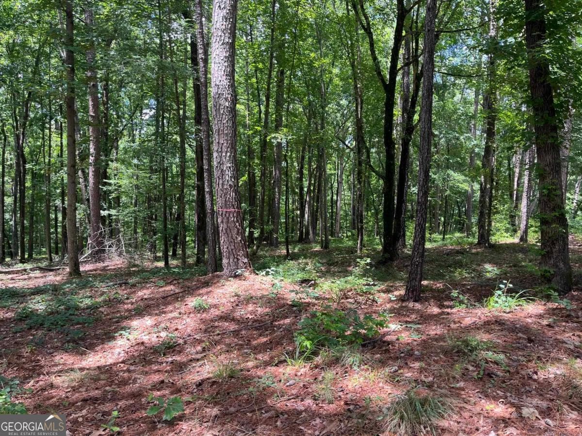 residential lot for sale at LOTS 1 & 2 Pullman Lane, Greensboro, GA 30642 — photo 2