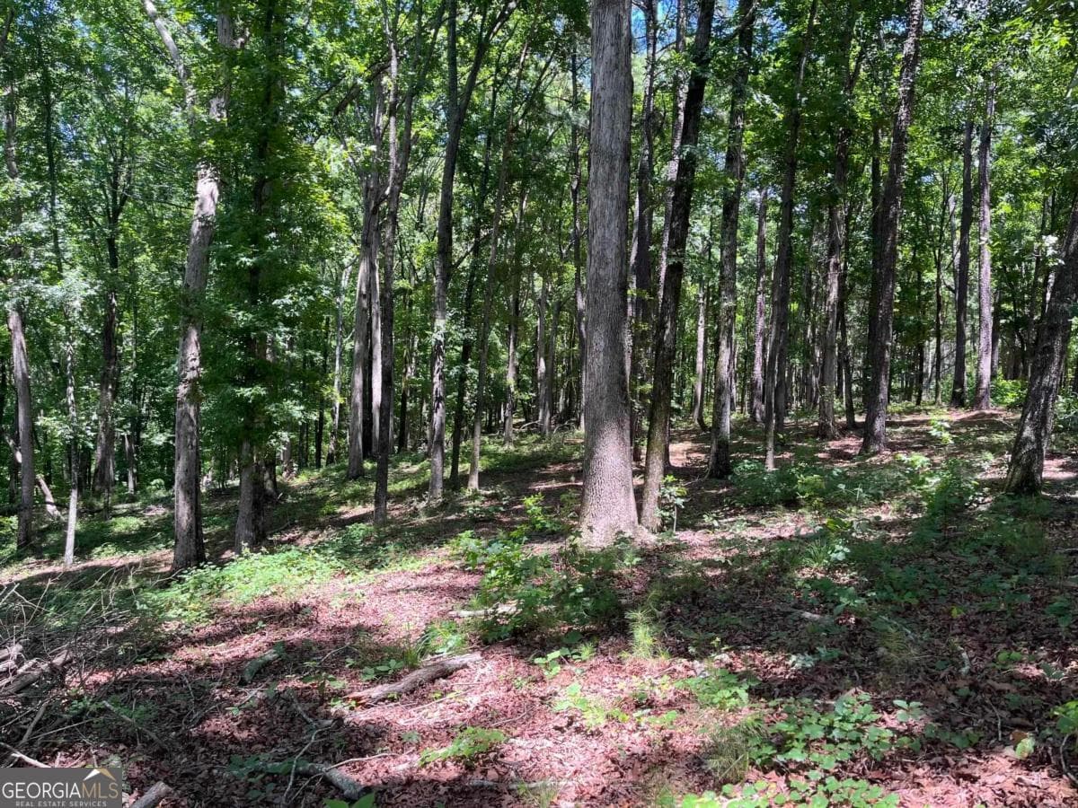 residential lot for sale at LOTS 1 & 2 Pullman Lane, Greensboro, GA 30642 — photo 3