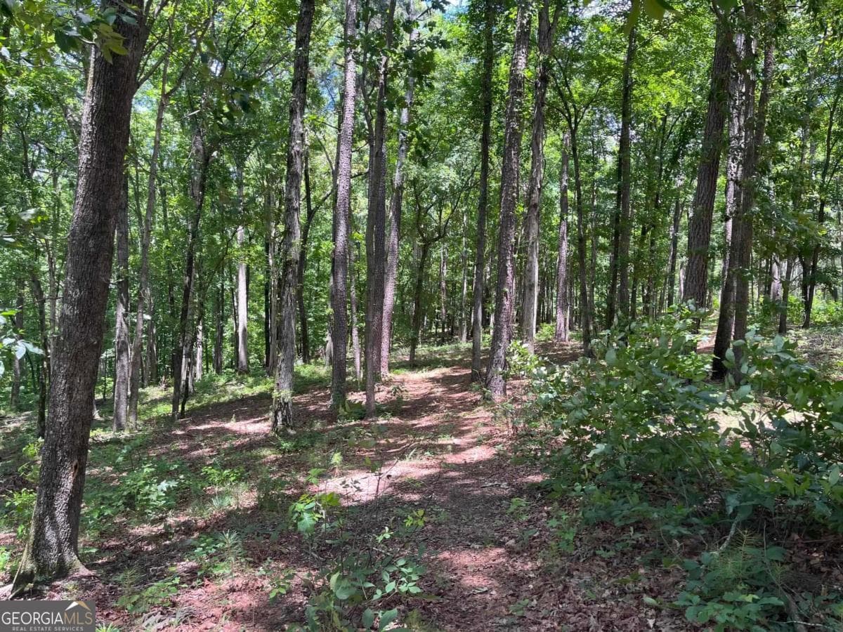 residential lot for sale at LOTS 1 & 2 Pullman Lane, Greensboro, GA 30642 — photo 4