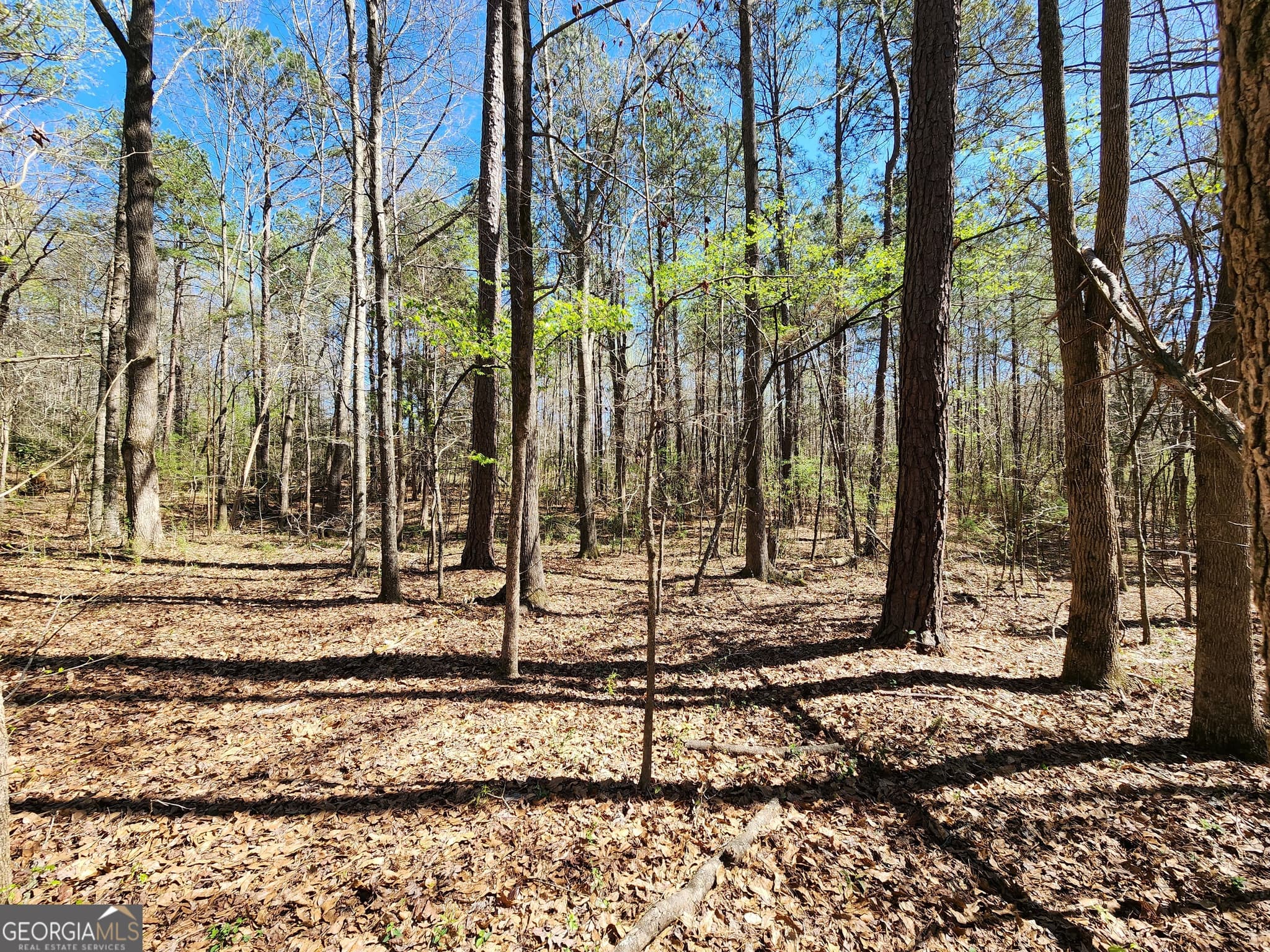 residential lot for sale at 0 Deer Ridge Drive, Hamilton, GA 31811 — photo 6