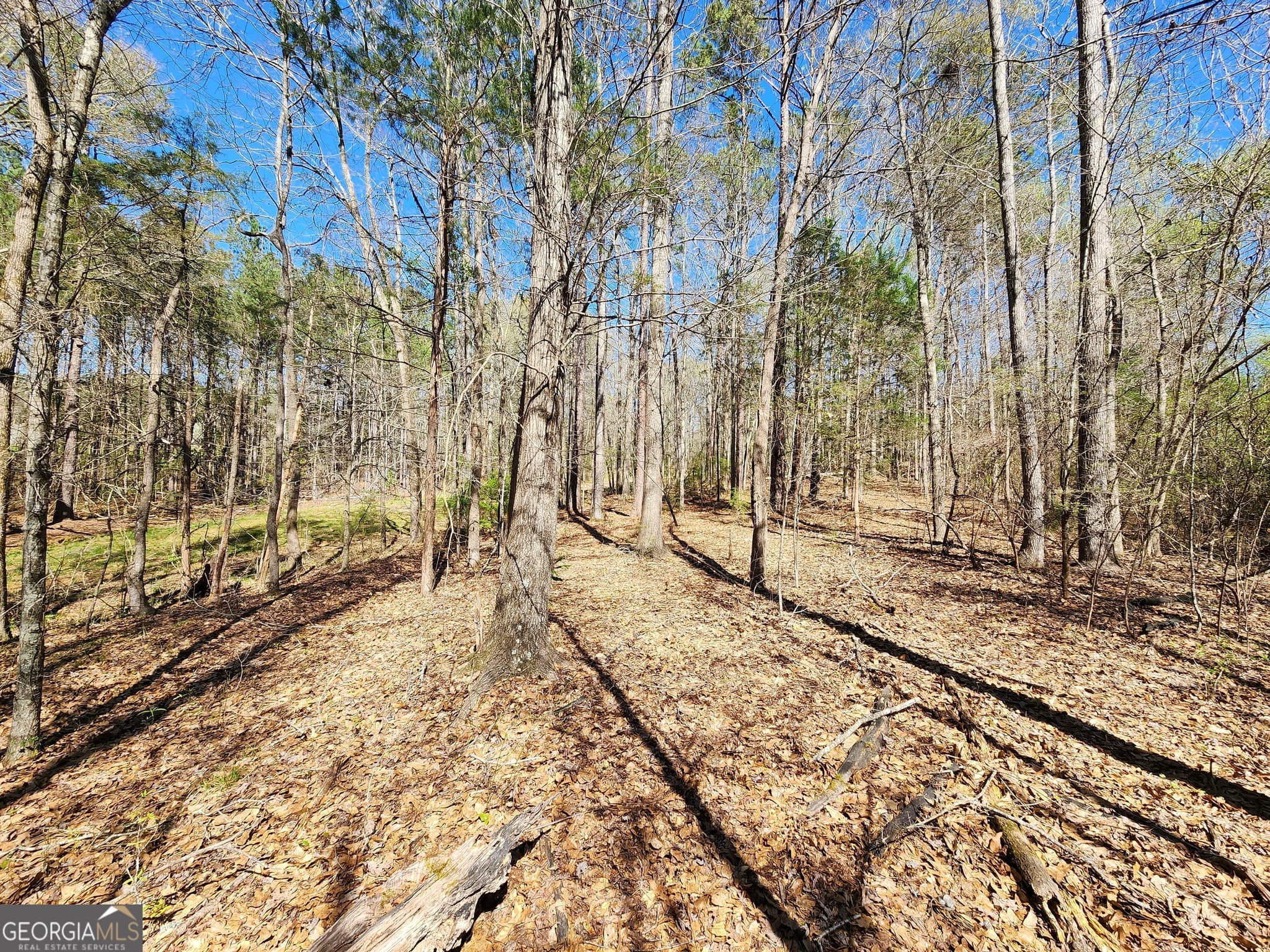 residential lot for sale at 0 Deer Ridge Drive, Hamilton, GA 31811 — photo 7