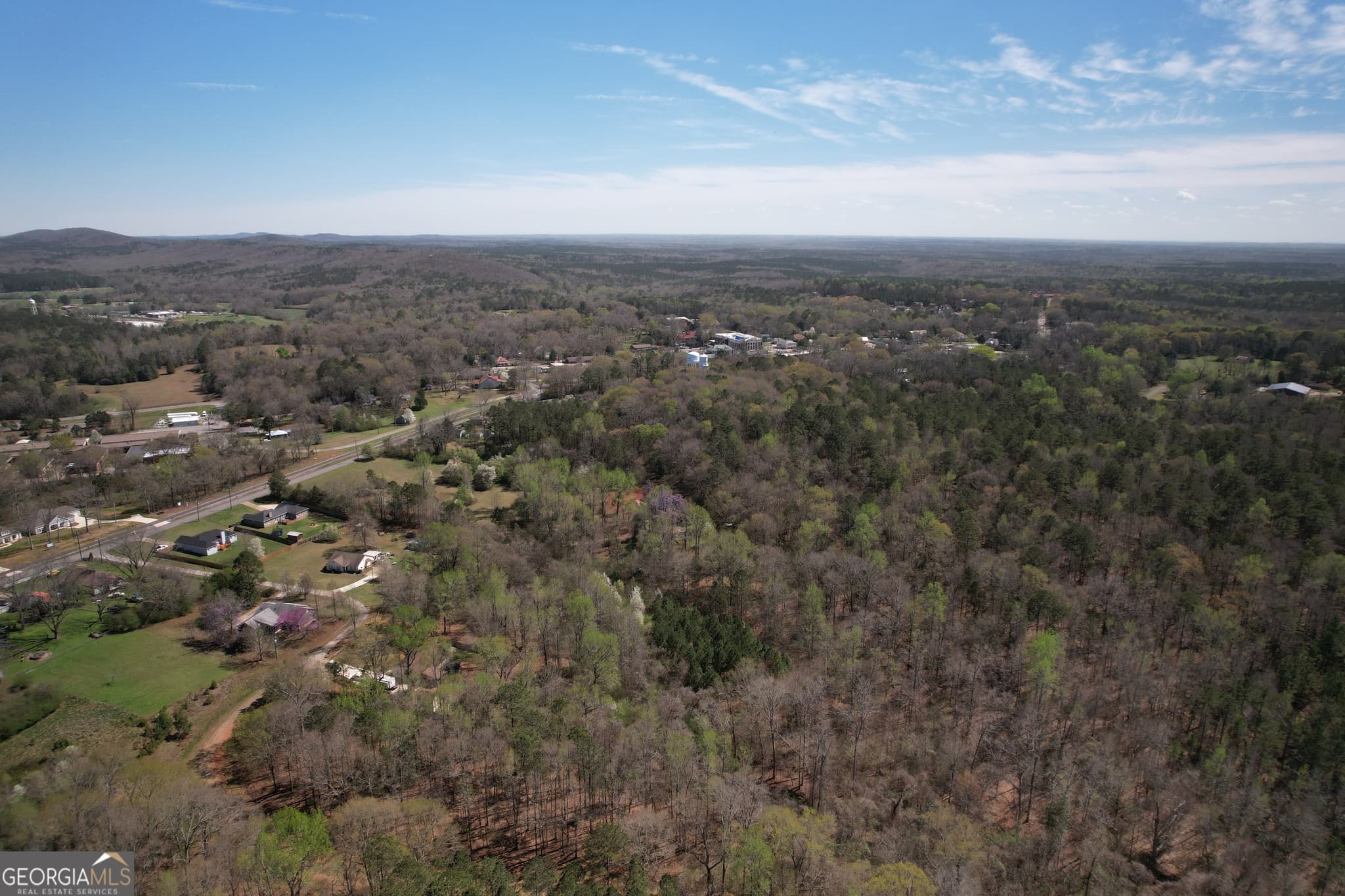 residential lot for sale at 0 Deer Ridge Drive, Hamilton, GA 31811 — photo 3