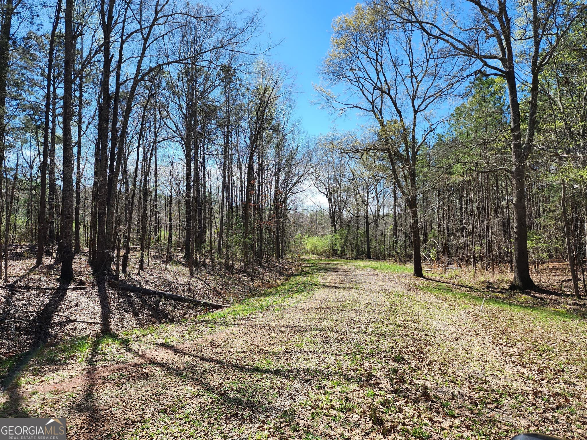 residential lot for sale at 0 Deer Ridge Drive, Hamilton, GA 31811 — photo 1 of 15
