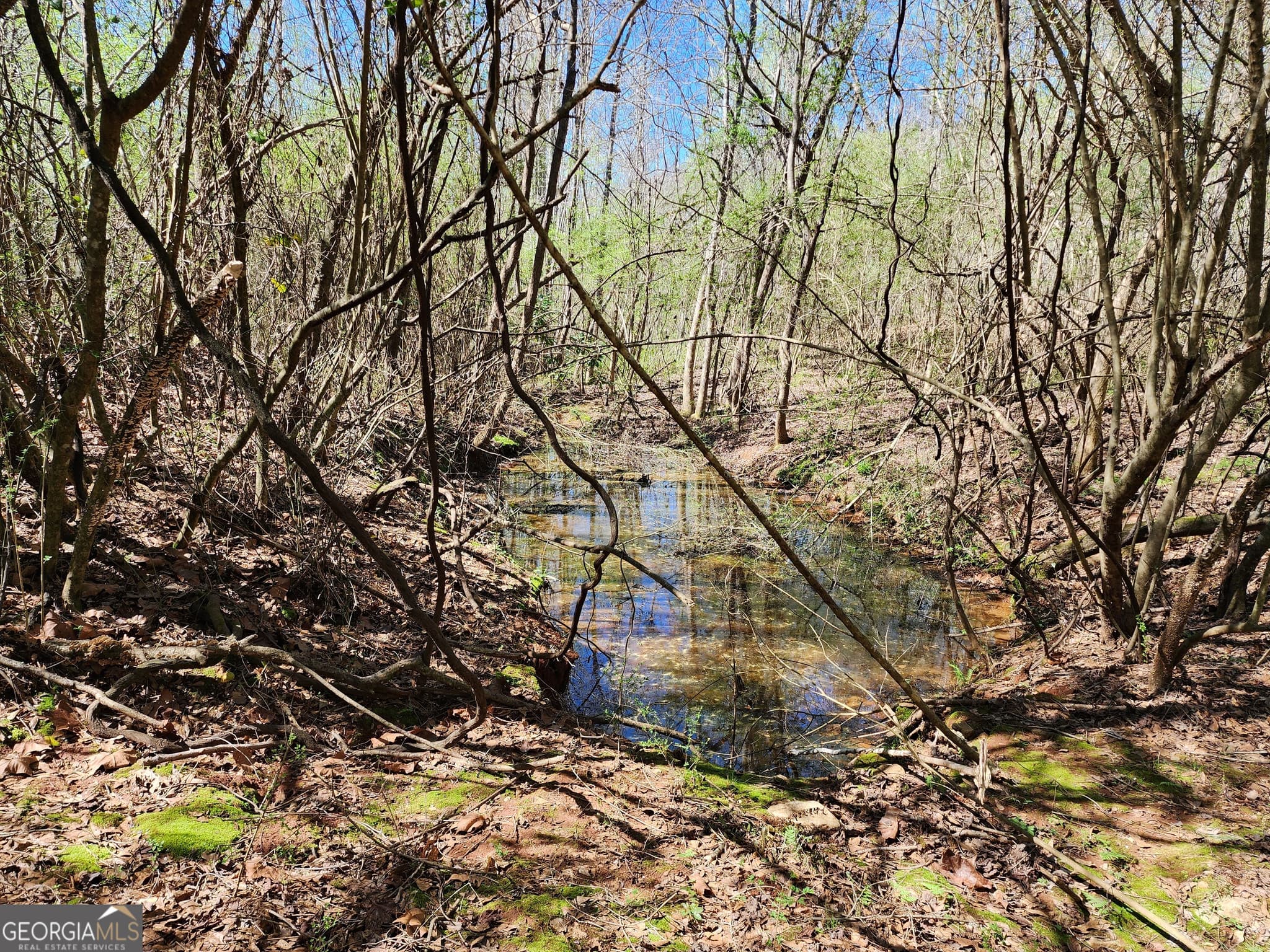 residential lot for sale at 0 Deer Ridge Drive, Hamilton, GA 31811 — photo 5