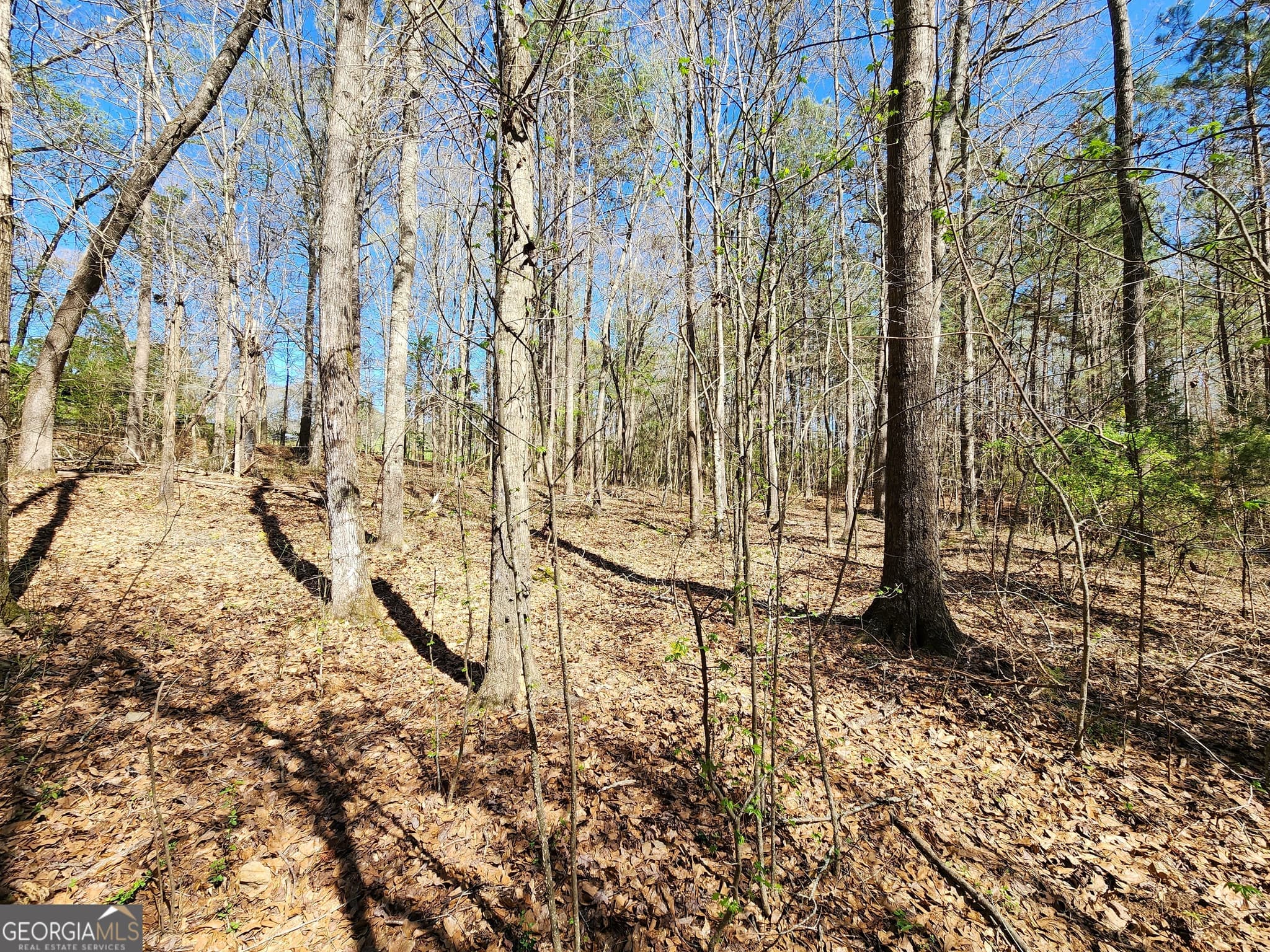 residential lot for sale at 0 Deer Ridge Drive, Hamilton, GA 31811 — photo 9