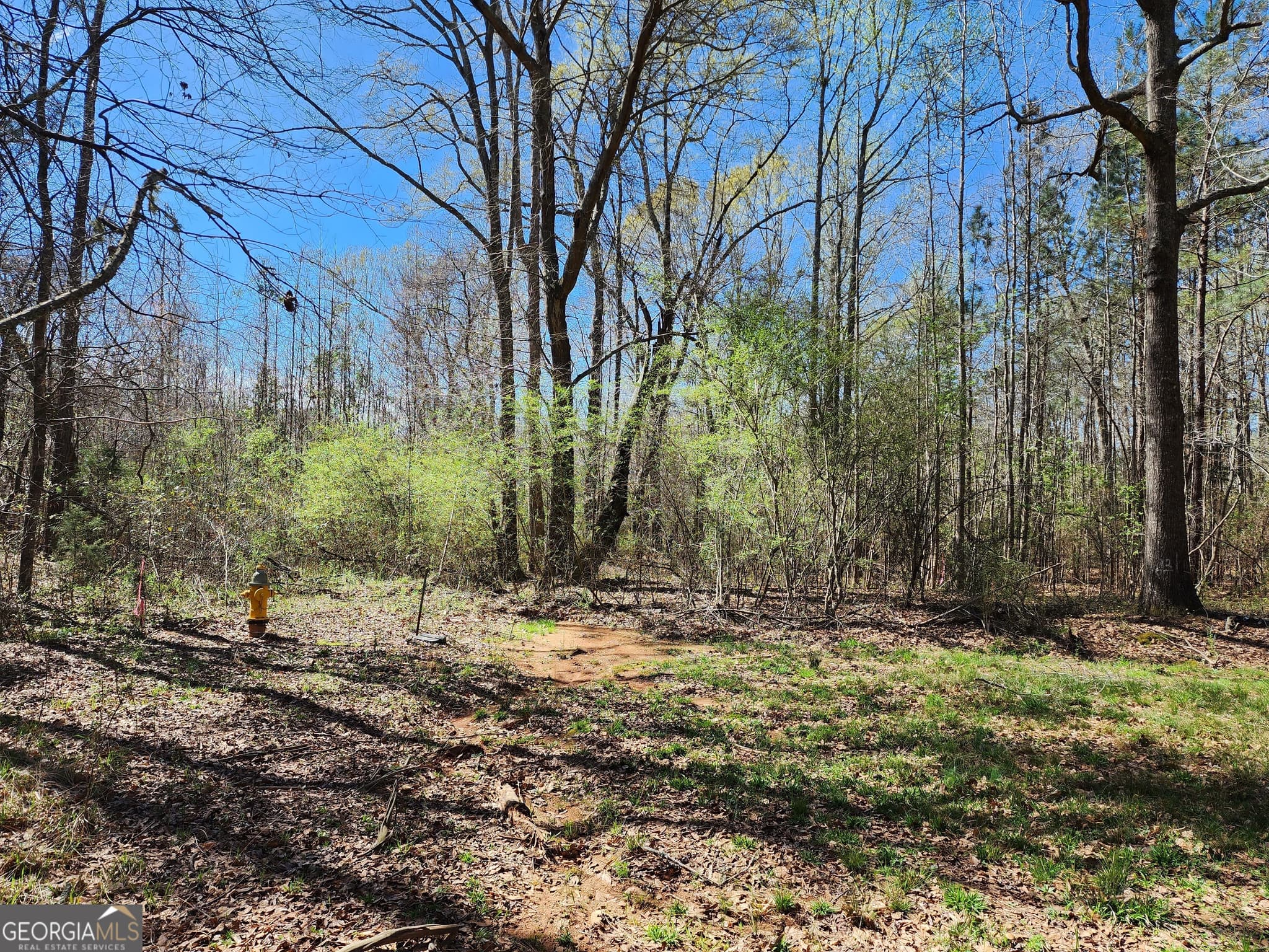 residential lot for sale at 0 Deer Ridge Drive, Hamilton, GA 31811 — photo 10
