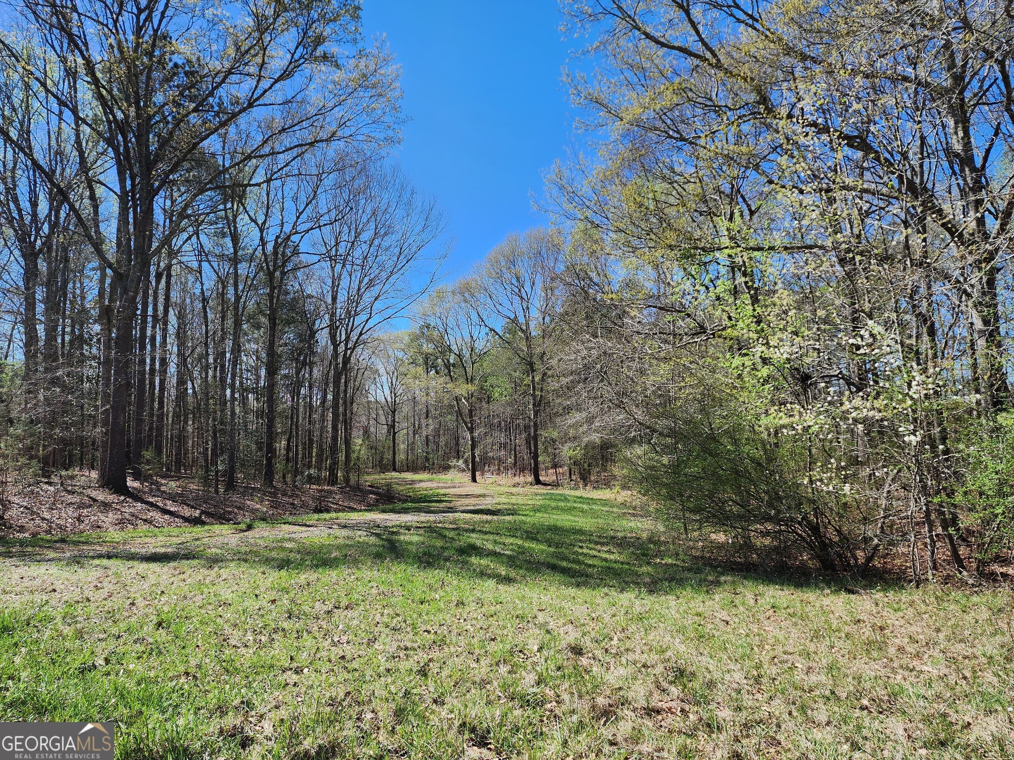 residential lot for sale at 0 Deer Ridge Drive, Hamilton, GA 31811 — photo 4