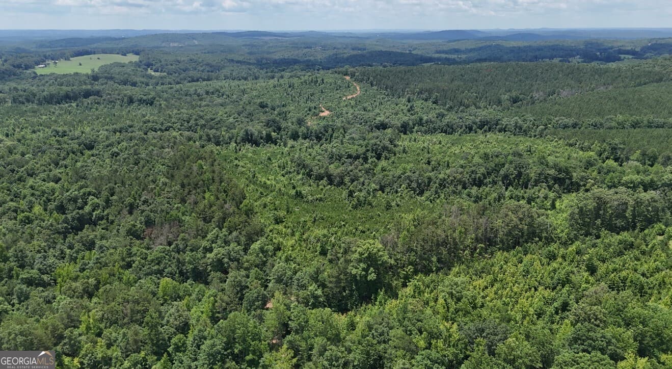 agriculture under contract at 0 Old Highway 431 LOT A, Wedowee, AL 36278 — photo 6