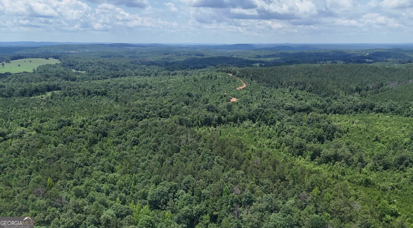 agriculture under contract at 0 Old Highway 431 LOT A, Wedowee, AL 36278 — photo 7