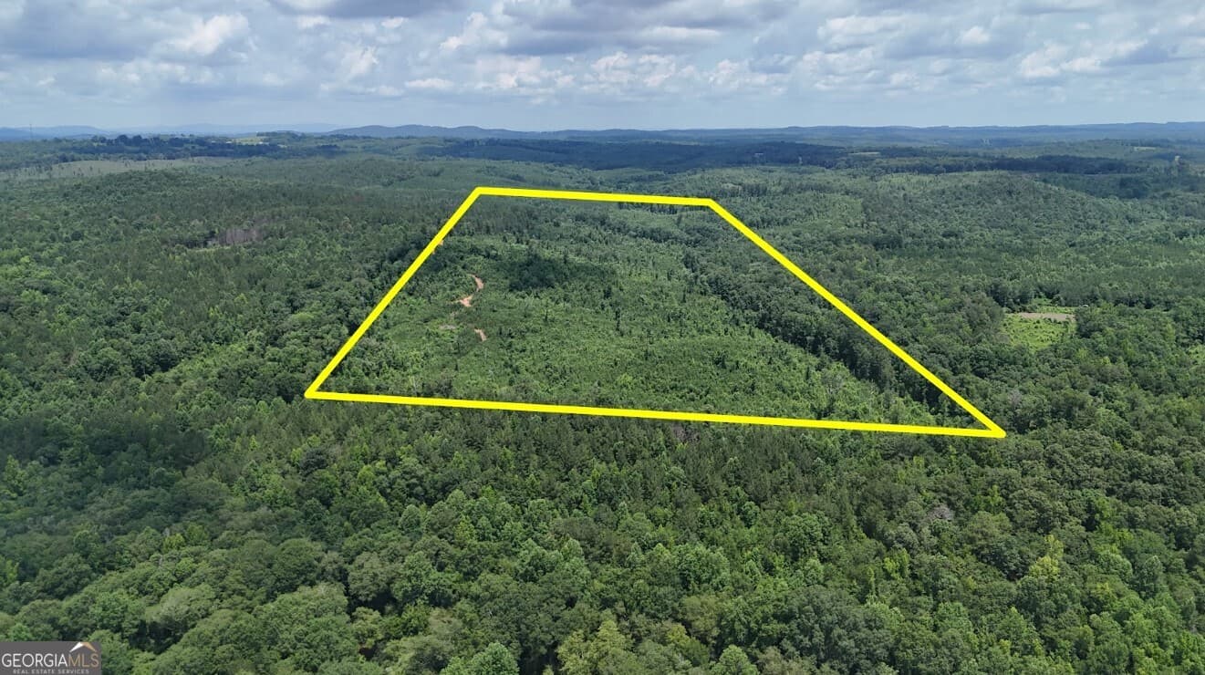 agriculture under contract at 0 Old Highway 431 LOT A, Wedowee, AL 36278 — photo 3