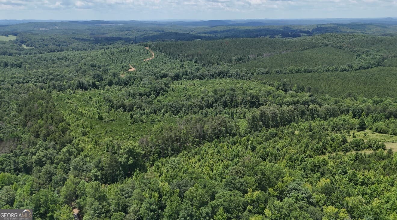 agriculture under contract at 0 Old Highway 431 LOT A, Wedowee, AL 36278 — photo 5