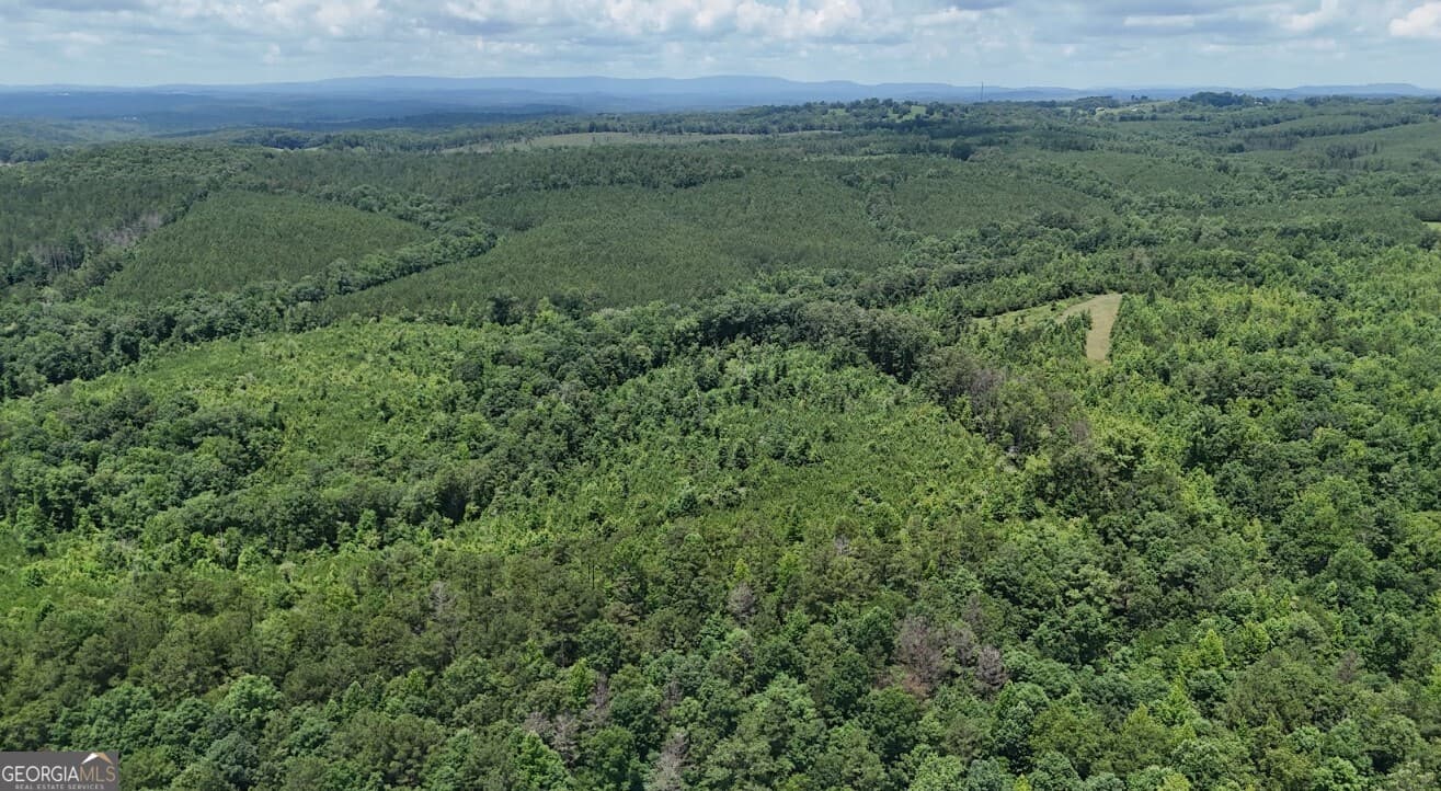 agriculture under contract at 0 Old Highway 431 LOT A, Wedowee, AL 36278 — photo 9