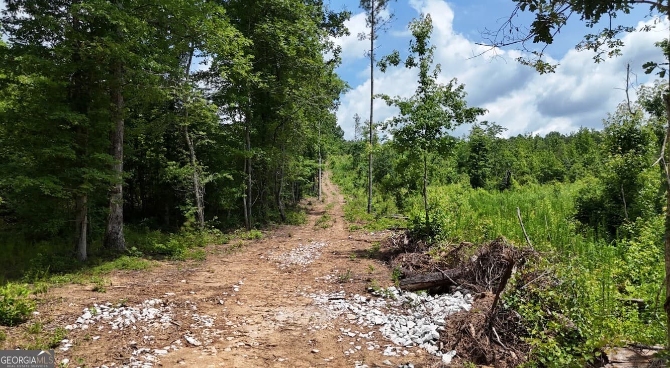 agriculture under contract at 0 Old Highway 431 LOT A, Wedowee, AL 36278 — photo 10