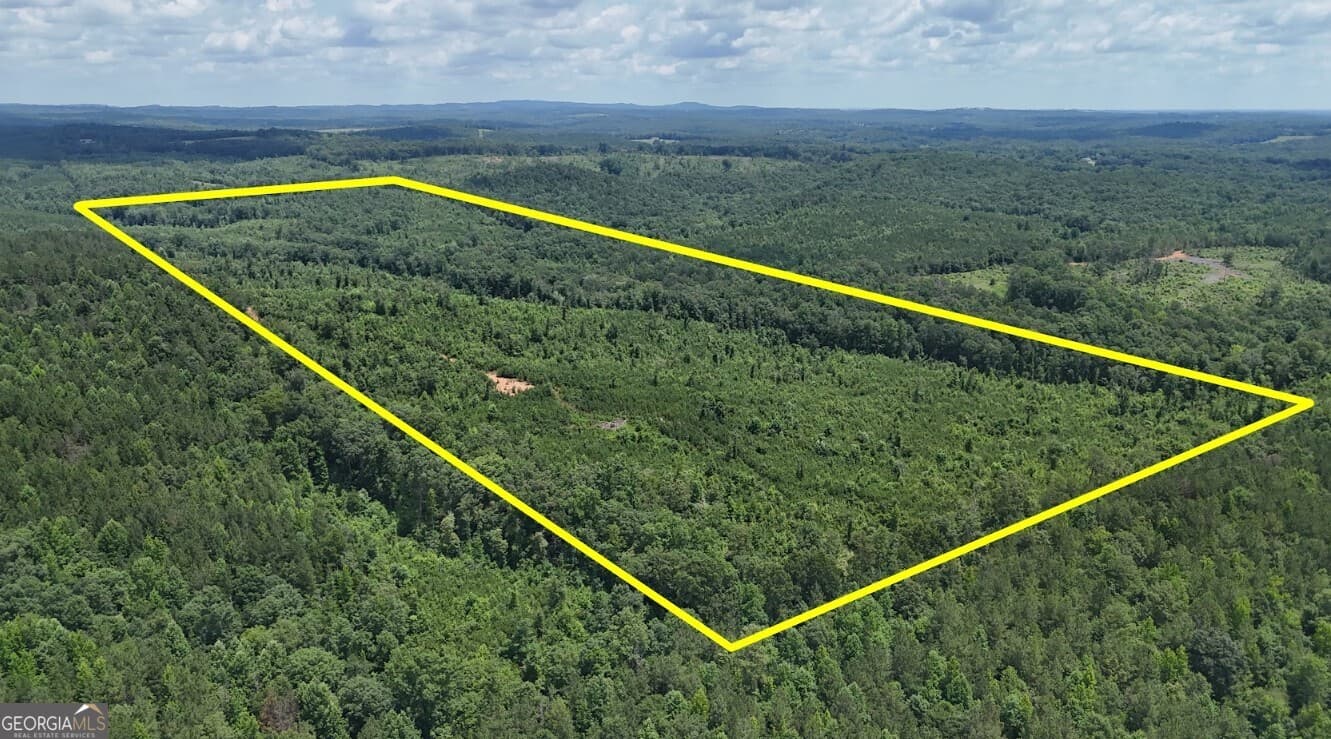 agriculture under contract at 0 Old Highway 431 LOT A, Wedowee, AL 36278 — photo 4