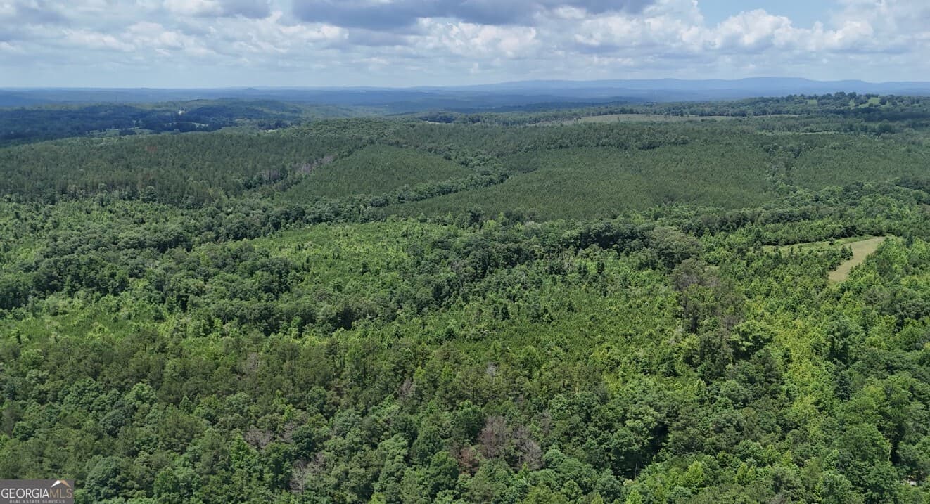 agriculture under contract at 0 Old Highway 431 LOT A, Wedowee, AL 36278 — photo 8