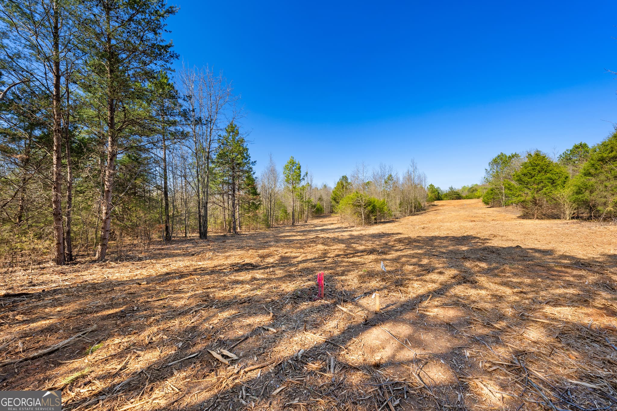 residential lot for sale at 8 Ridgeview Point, Hartwell, GA 30643 — photo 6
