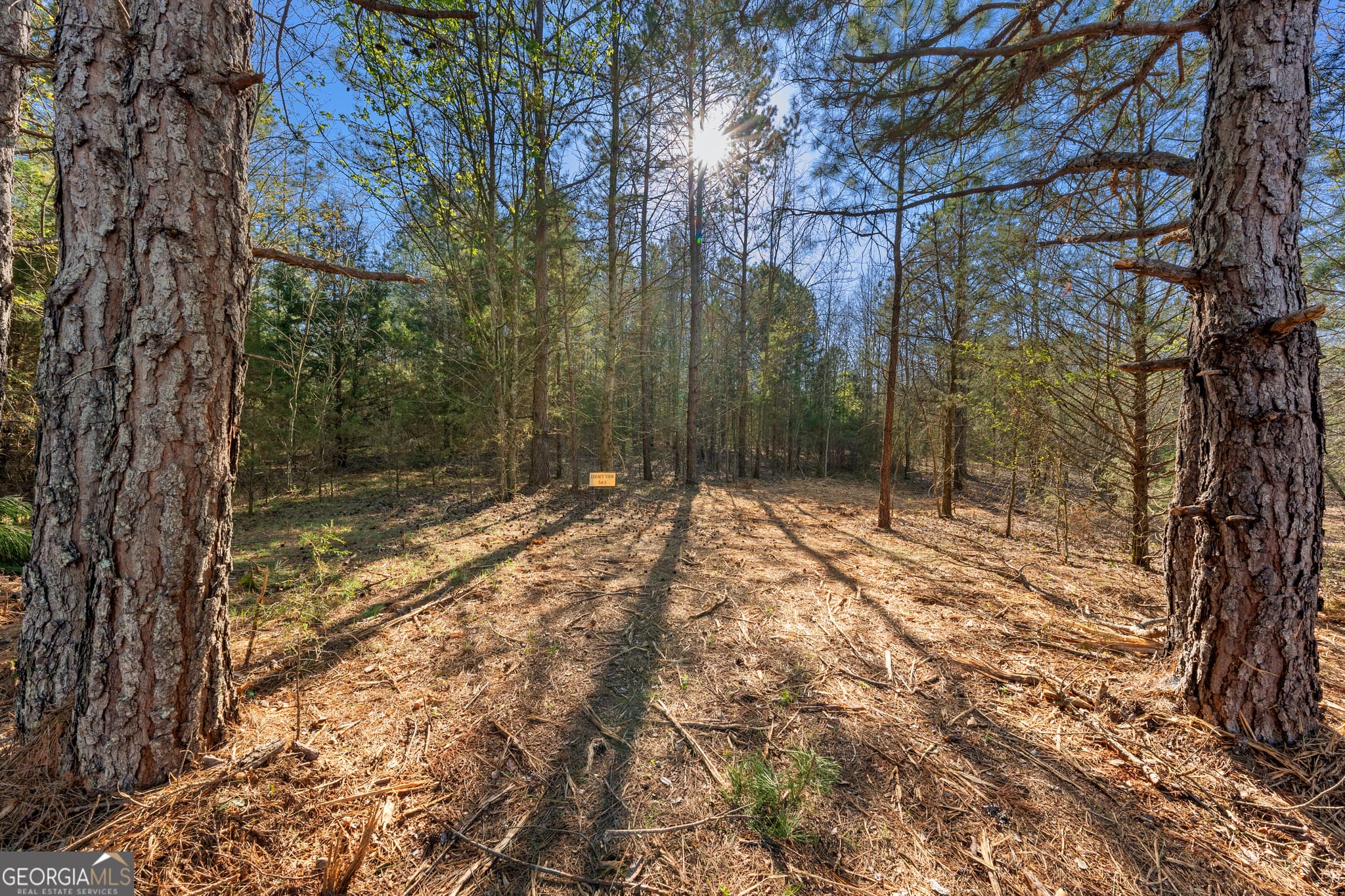residential lot for sale at 8 Ridgeview Point, Hartwell, GA 30643 — photo 7