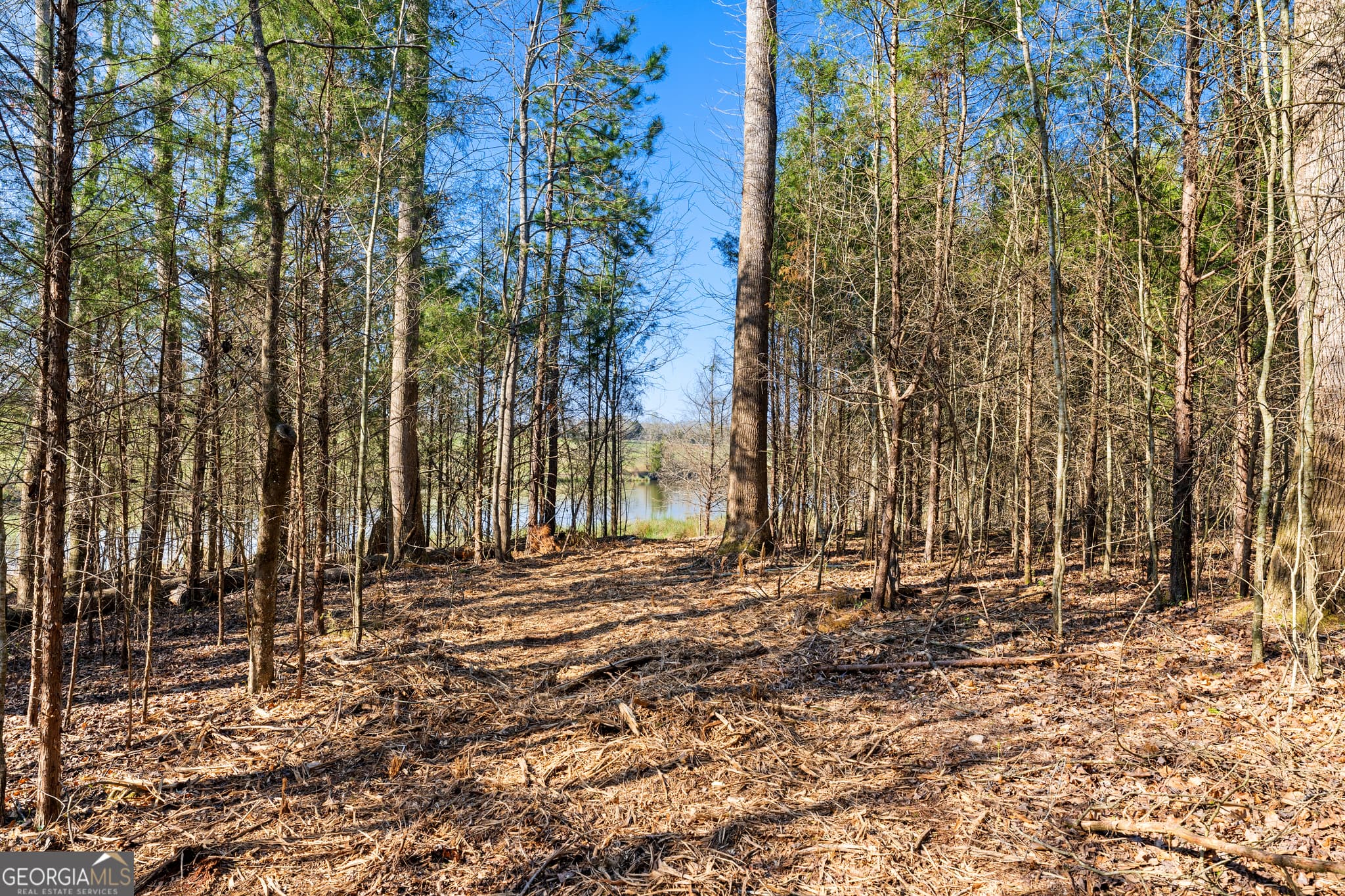 residential lot for sale at 8 Ridgeview Point, Hartwell, GA 30643 — photo 3
