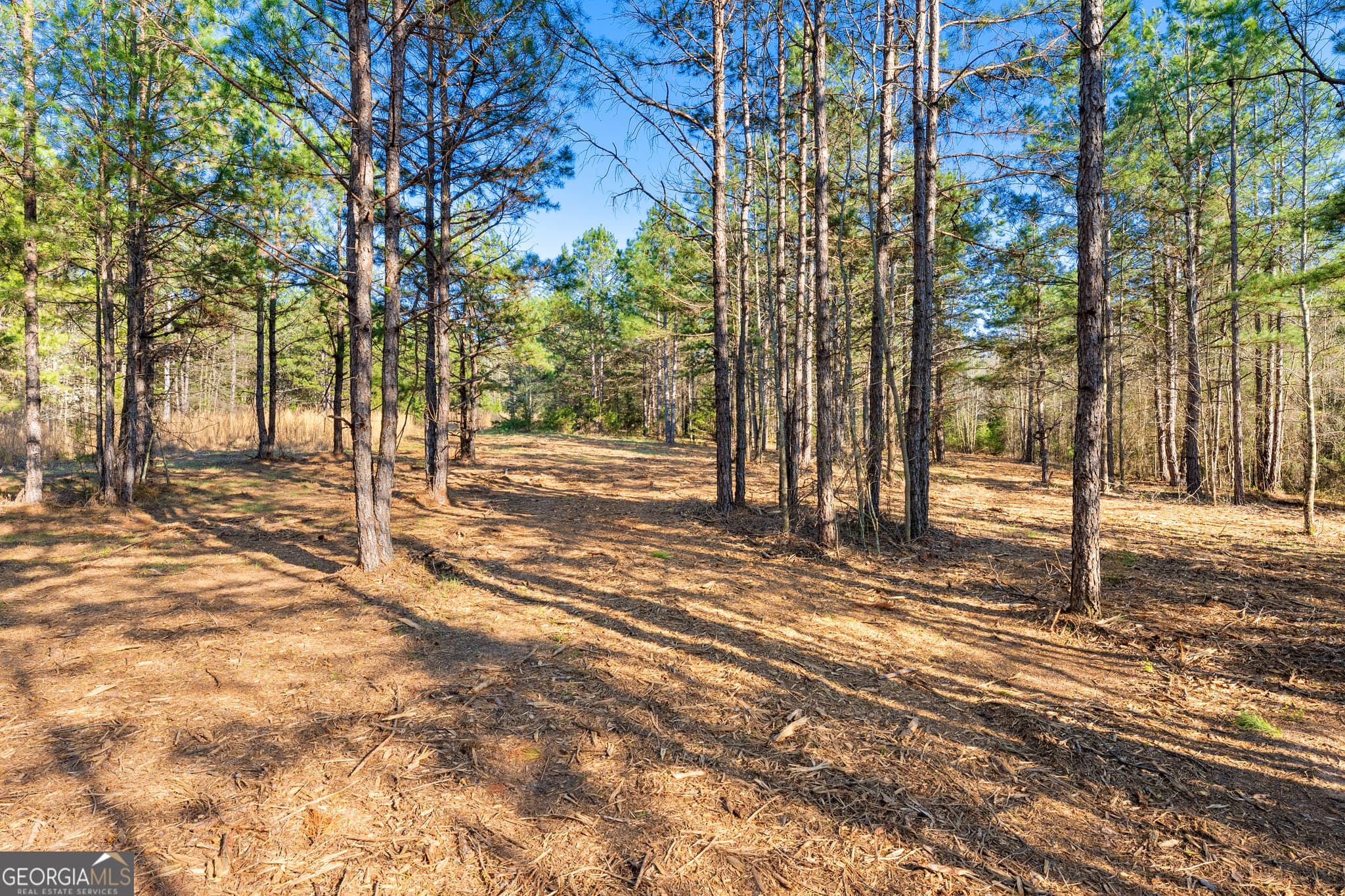 residential lot for sale at 8 Ridgeview Point, Hartwell, GA 30643 — photo 5