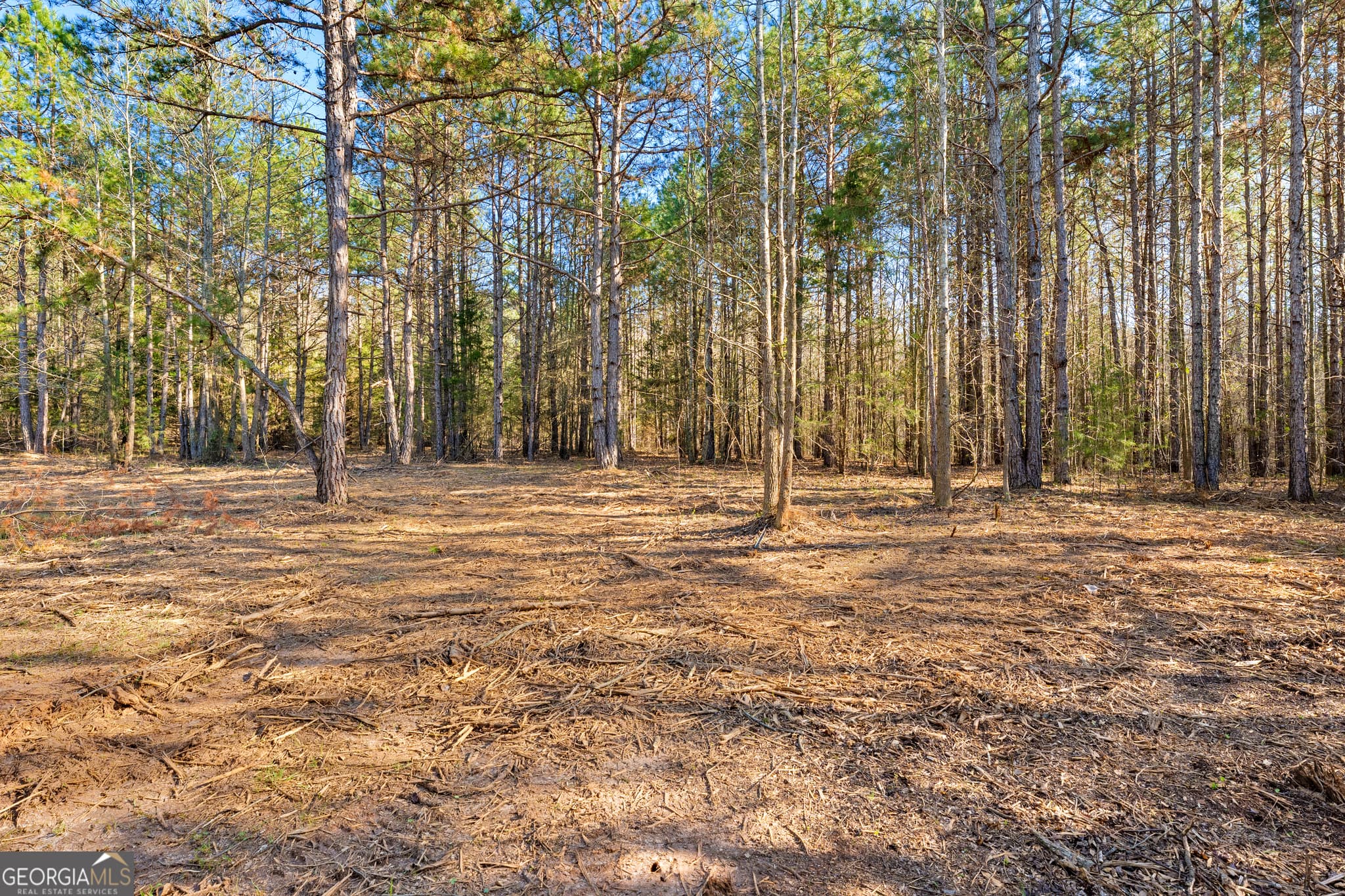residential lot for sale at 8 Ridgeview Point, Hartwell, GA 30643 — photo 4