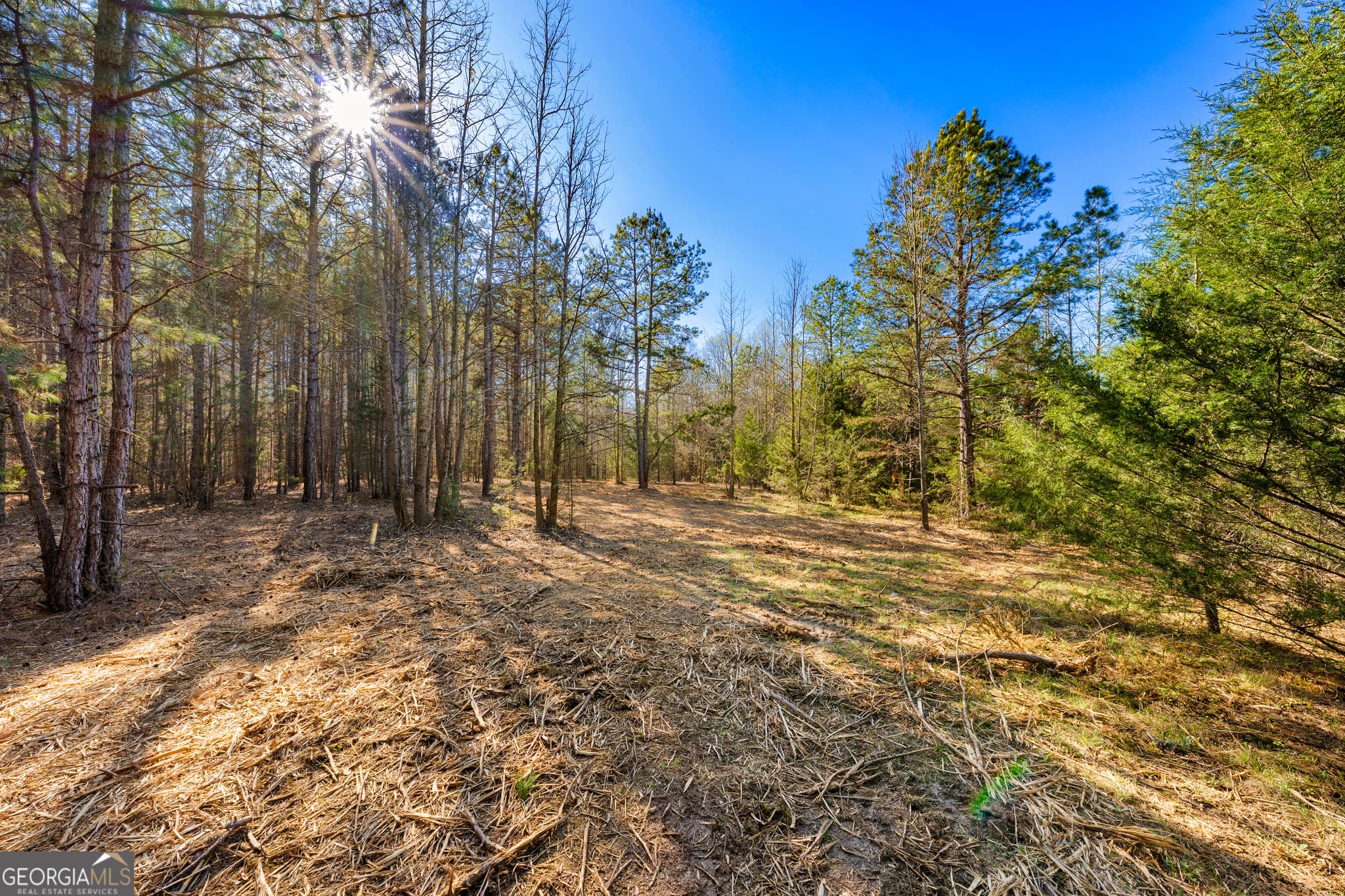 residential lot for sale at 8 Ridgeview Point, Hartwell, GA 30643 — photo 8