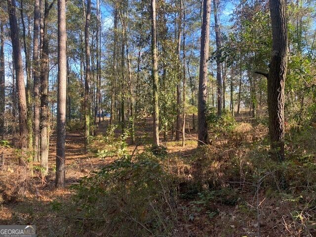 3 bedroom, 3.5 bathroom, 2,612 sq ft single family residence for sale at 1603 53rd Street, Valley, AL 36854 — photo 9