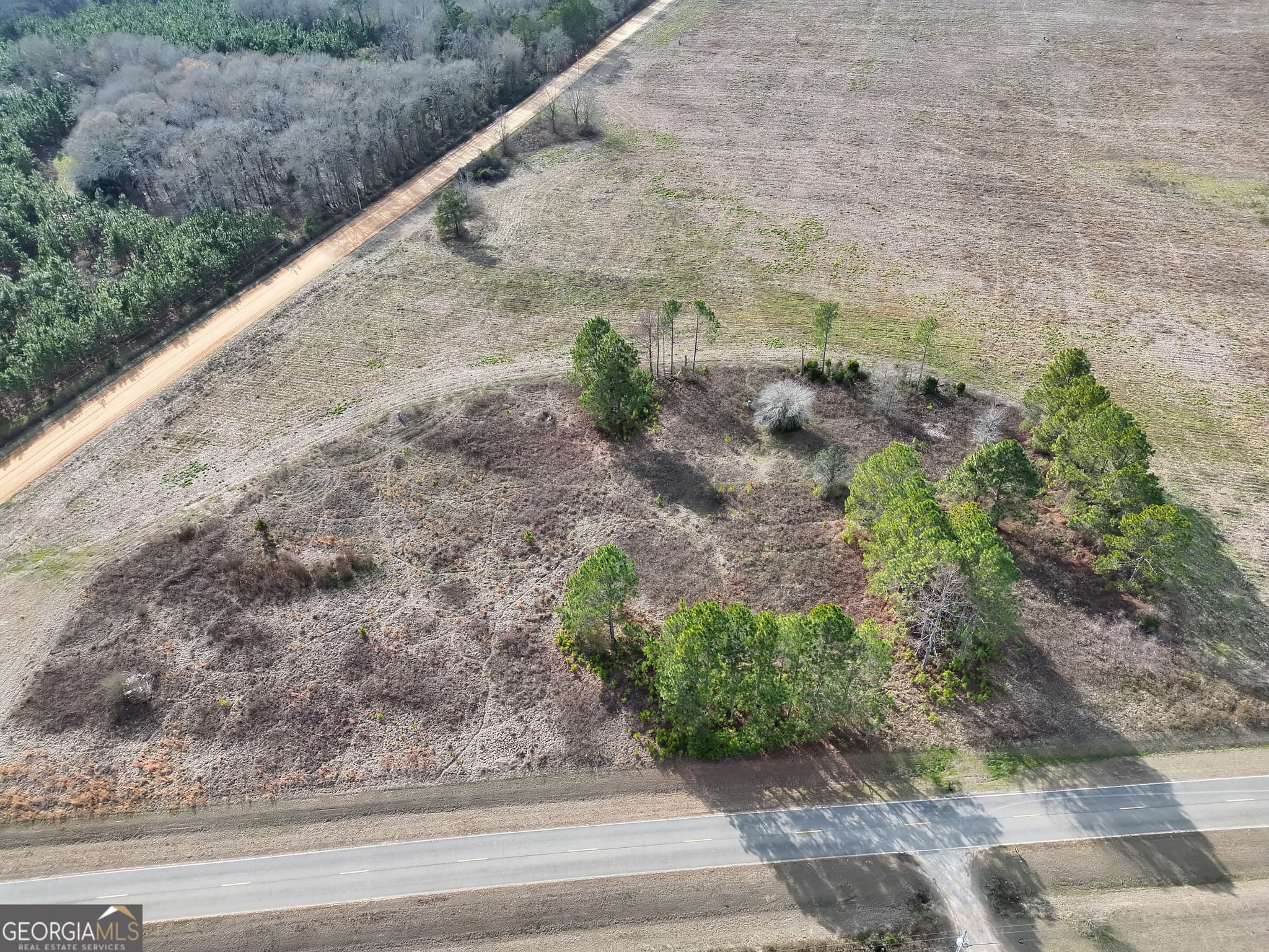 agriculture for sale at 0 Eagle Pond / Old Smithville Road, Leesburg, GA 31763 — photo 2