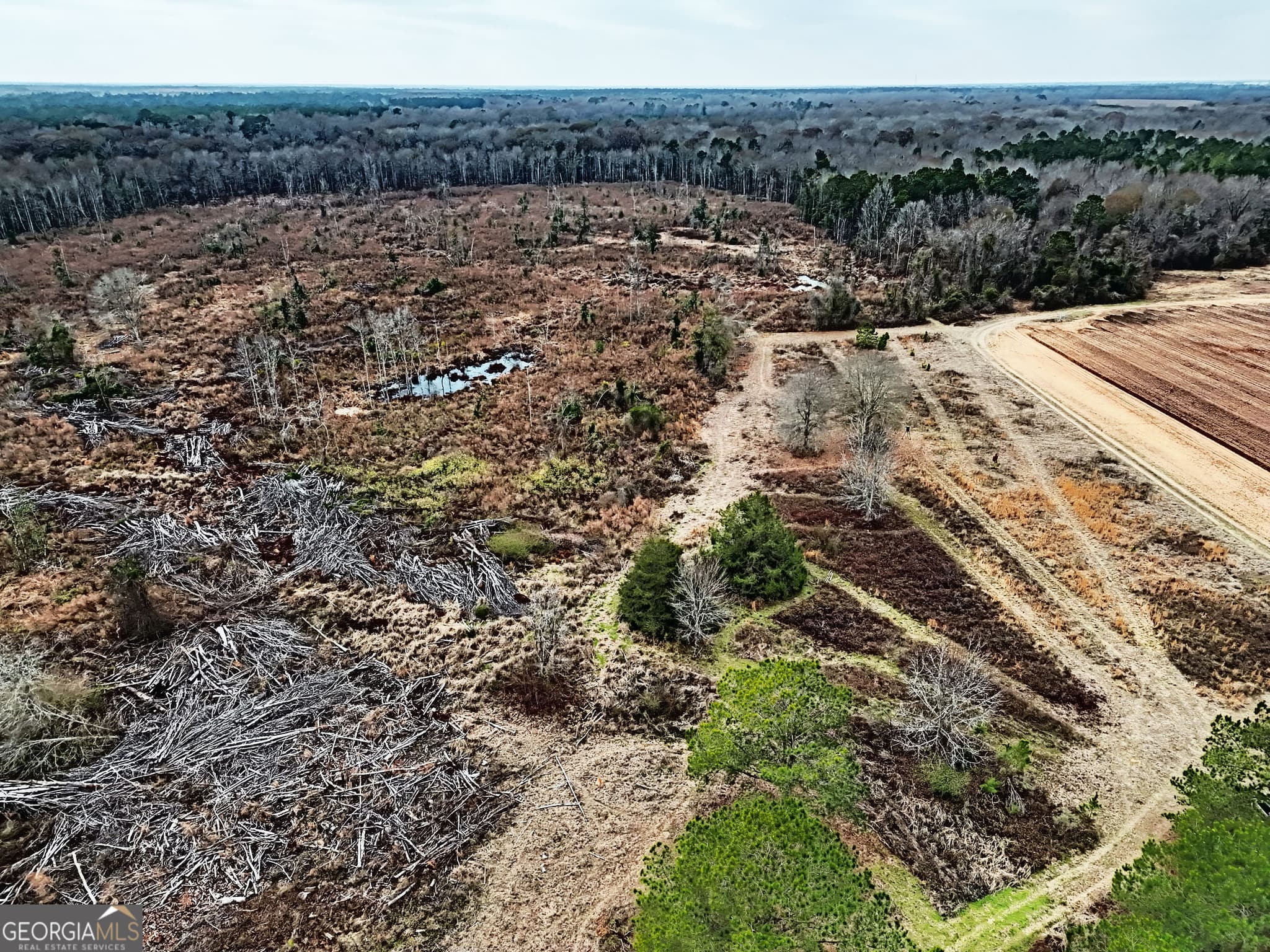 agriculture for sale at 0 Eagle Pond / Old Smithville Road, Leesburg, GA 31763 — photo 10