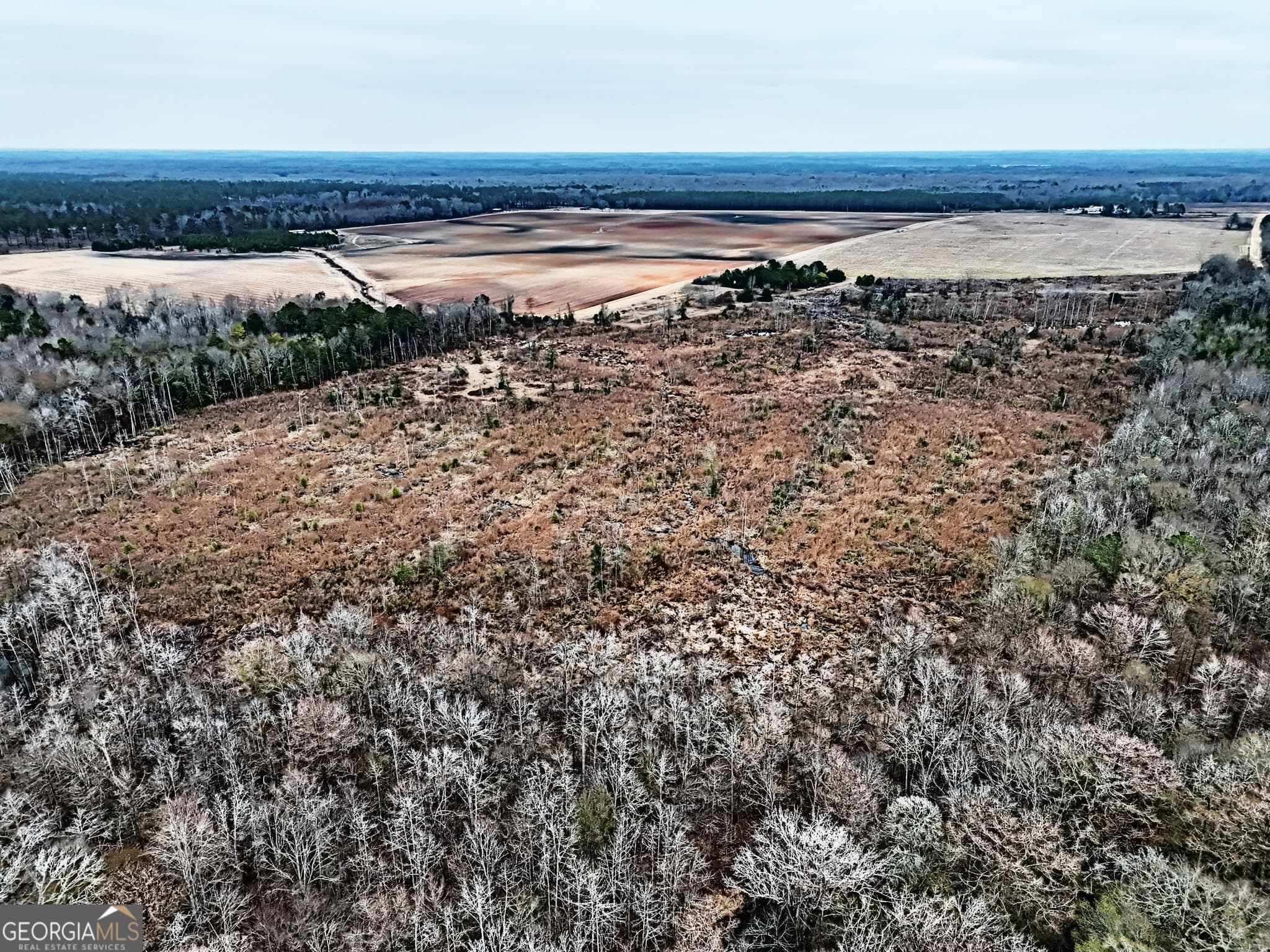 agriculture for sale at 0 Eagle Pond / Old Smithville Road, Leesburg, GA 31763 — photo 4