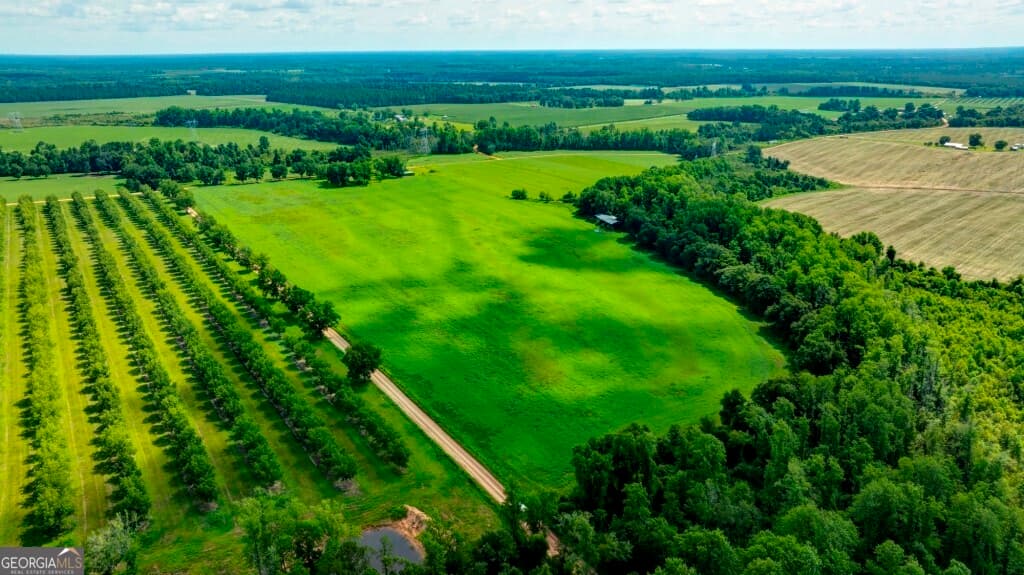 3 bedroom, 2 bathroom, 1,887 sq ft farm for sale at 1034 Cecil Tyre Road, Bristol, GA 31518 — photo 3