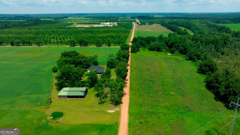 3 bedroom, 2 bathroom, 1,887 sq ft farm for sale at 1034 Cecil Tyre Road, Bristol, GA 31518 — photo 5