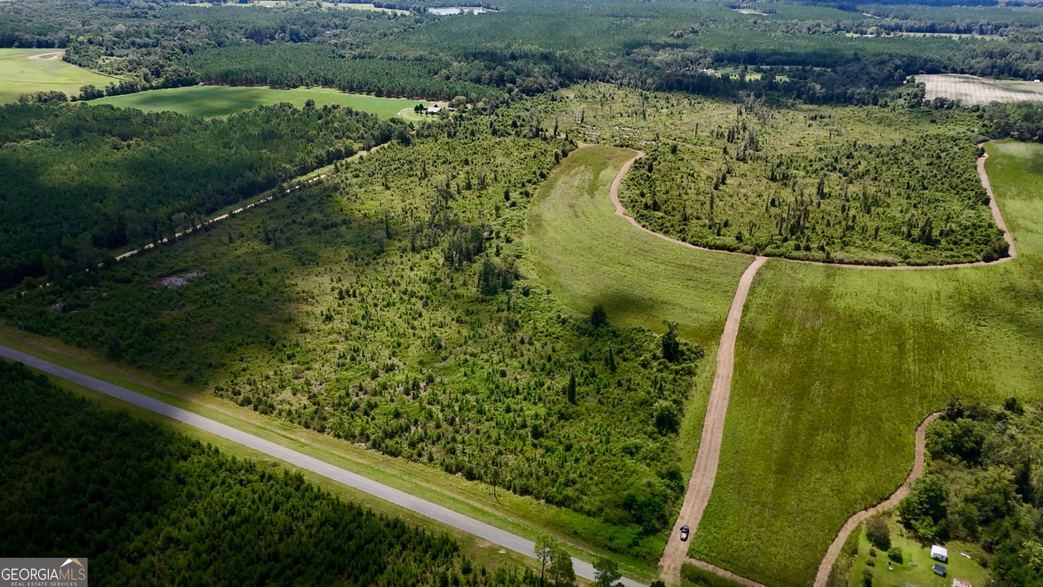 agriculture for sale at 6186 Harvey Road, Abbeville, GA 31001 — photo 2