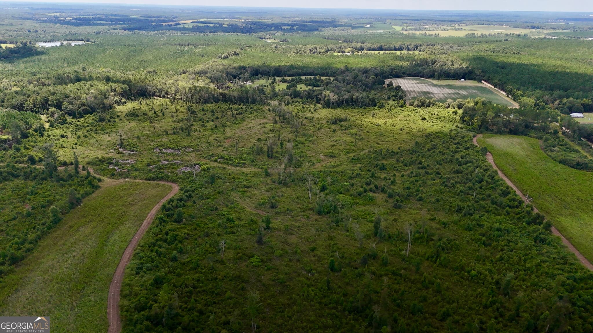 agriculture for sale at 6186 Harvey Road, Abbeville, GA 31001 — photo 6