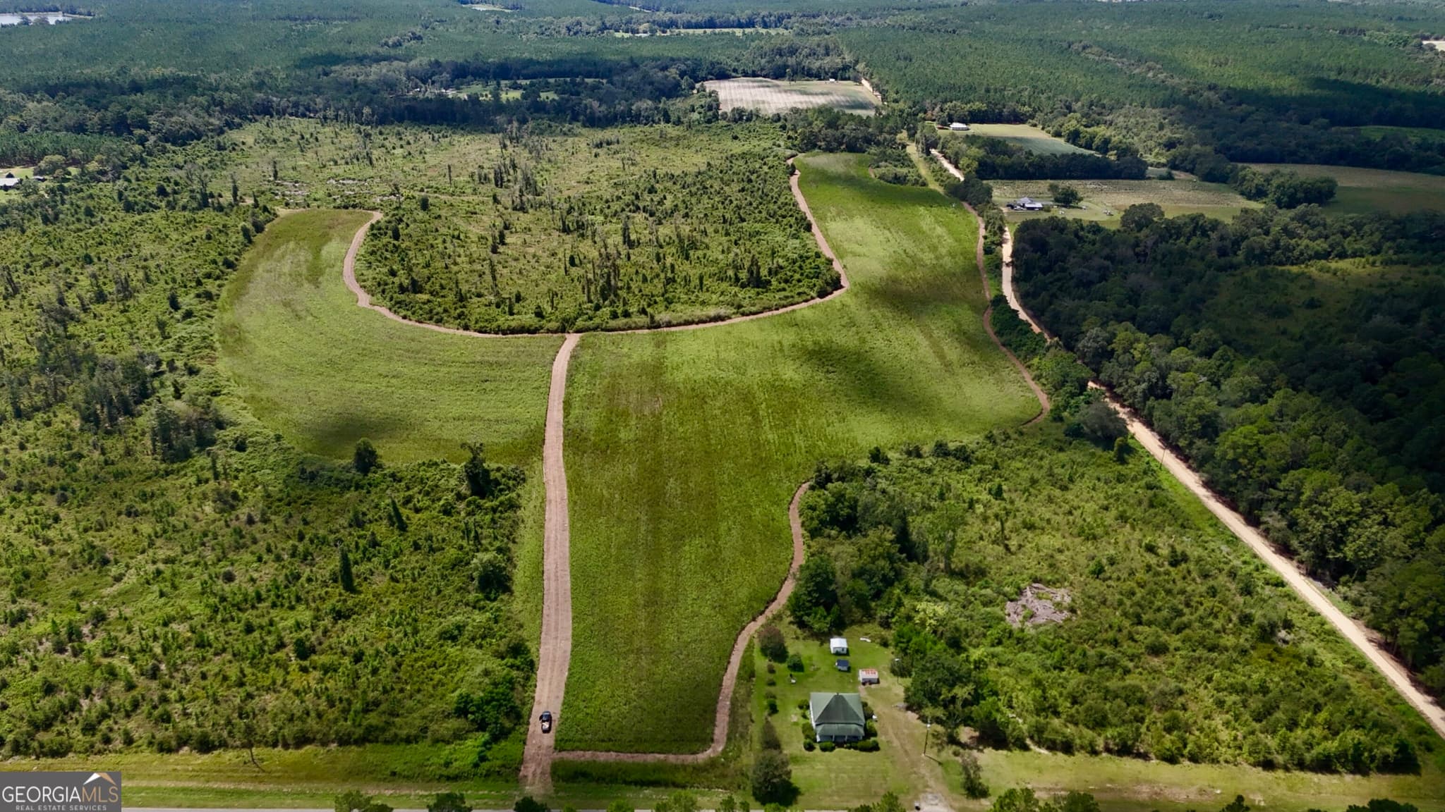 agriculture for sale at 6186 Harvey Road, Abbeville, GA 31001 — photo 3