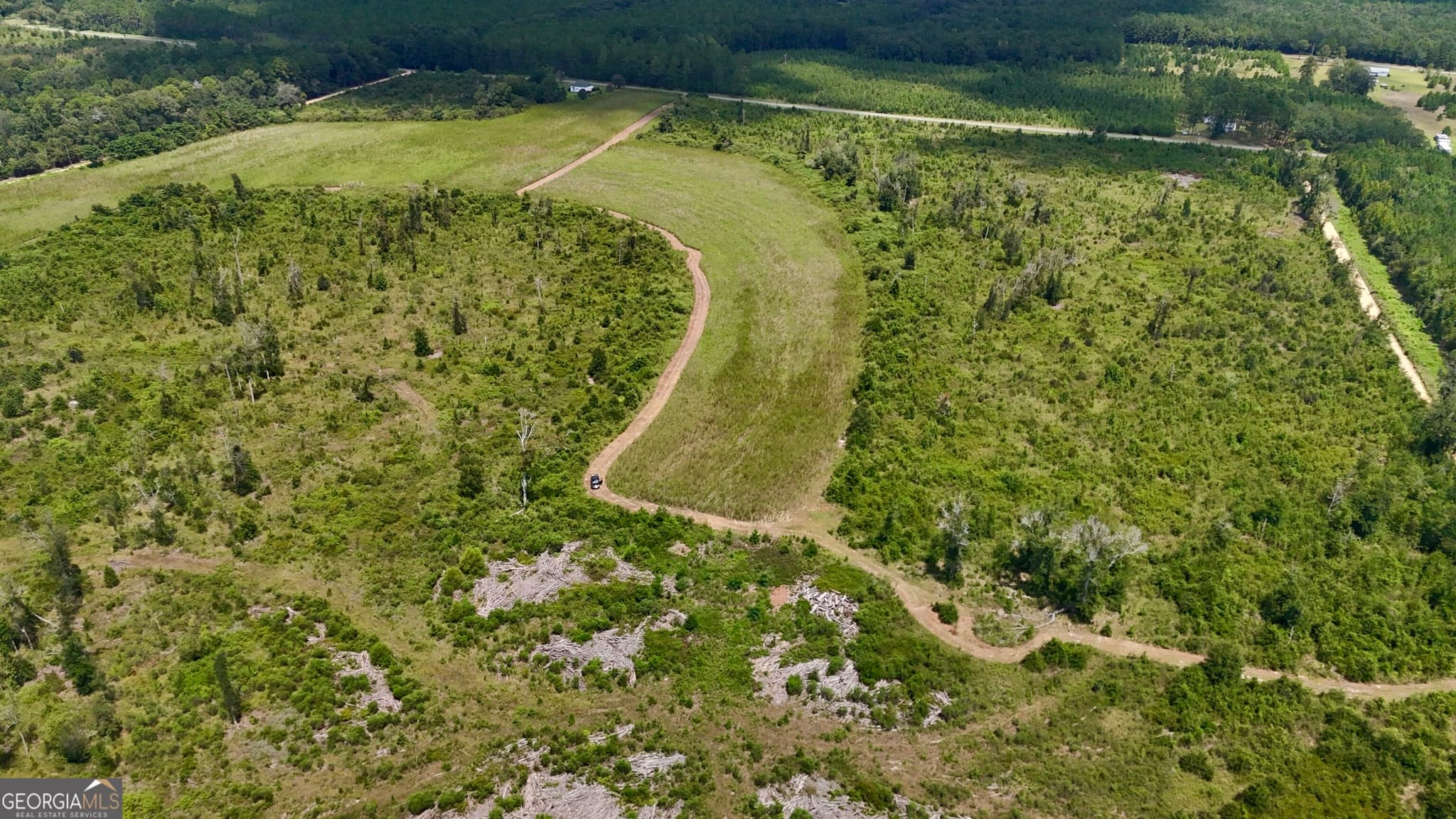 agriculture for sale at 6186 Harvey Road, Abbeville, GA 31001 — photo 9