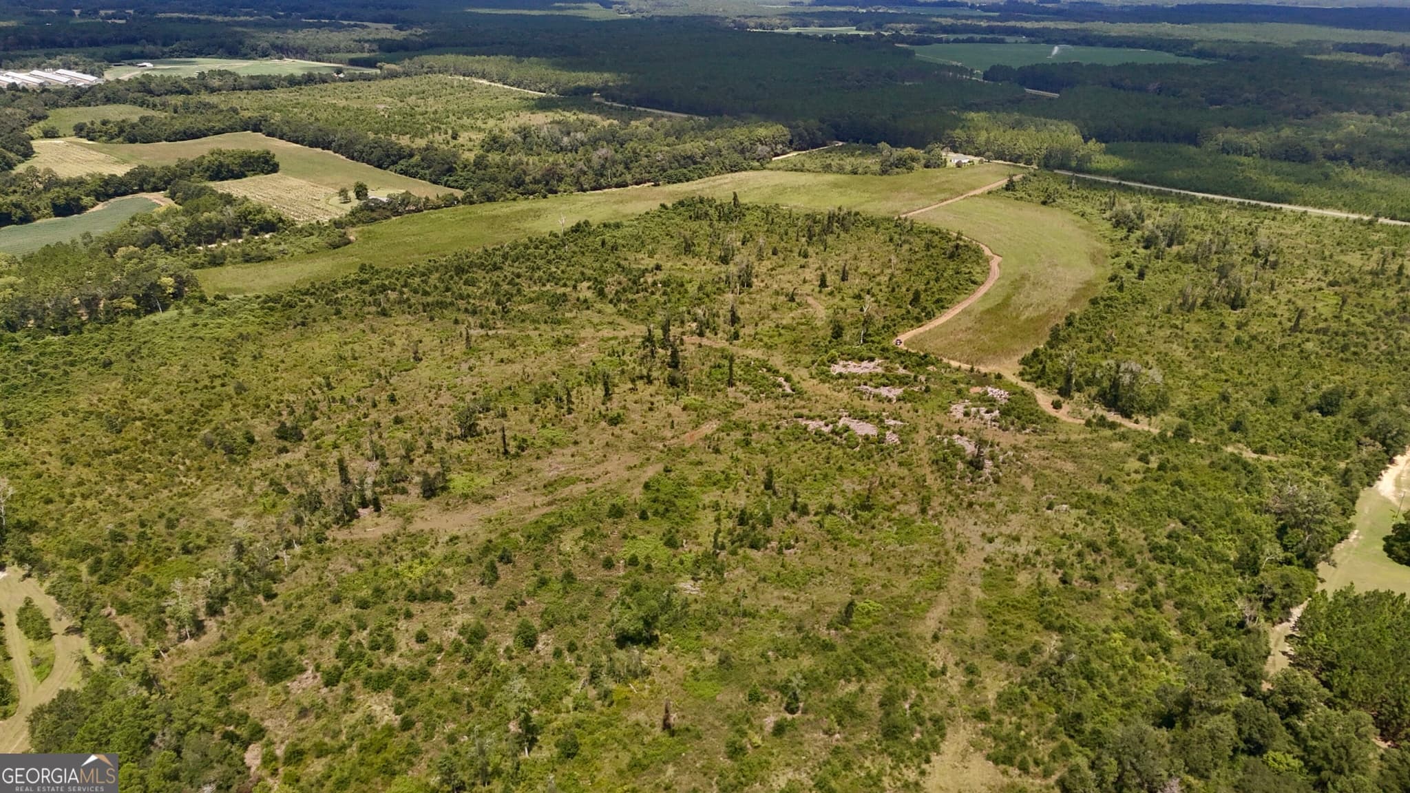 agriculture for sale at 6186 Harvey Road, Abbeville, GA 31001 — photo 8