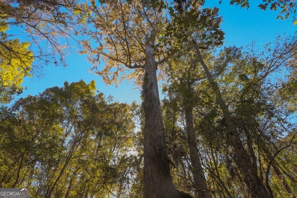 unimproved land for sale at 0 Old Savannah Road TRACT 1, Millen, GA 30442 — photo 1 of 20