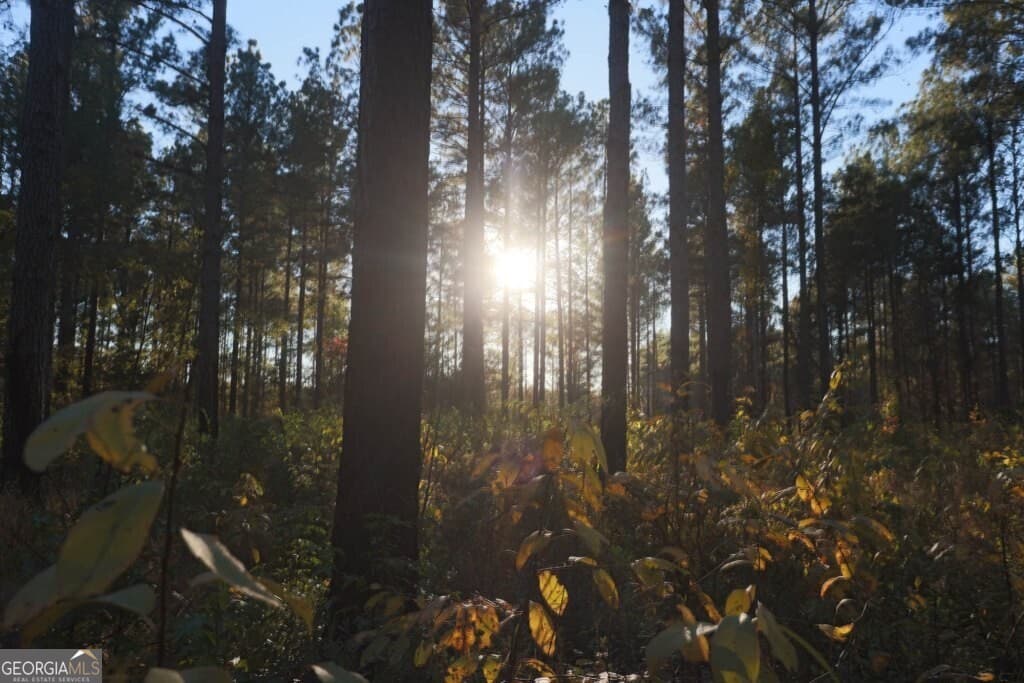 unimproved land for sale at 0 Old Savannah Road TRACT 1, Millen, GA 30442 — photo 5