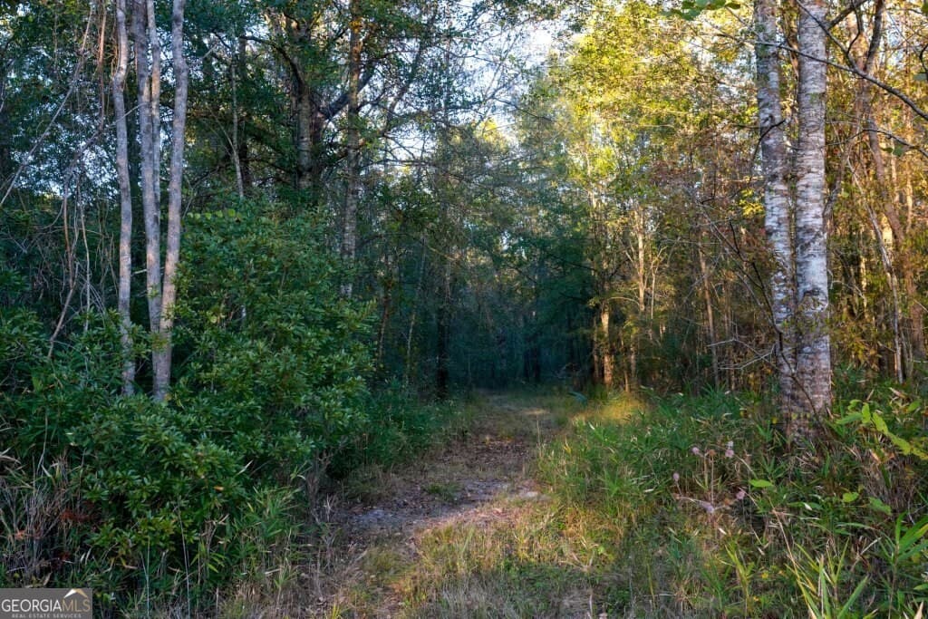 unimproved land for sale at 0 Old Savannah Road TRACT 1, Millen, GA 30442 — photo 10