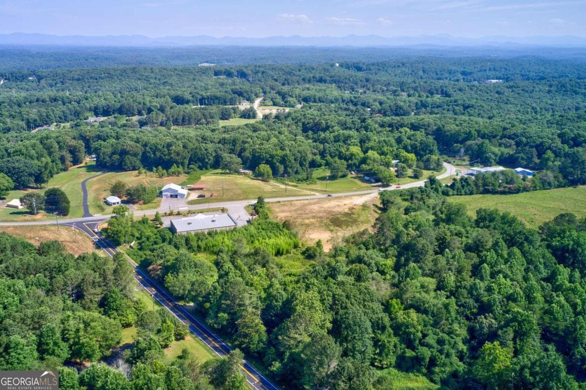 unimproved land for sale at 0 Nix Bridge Road, Dawsonville, GA 30534 — photo 7