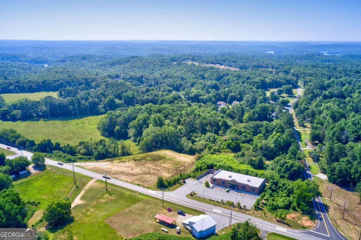 unimproved land for sale at 0 Nix Bridge Road, Dawsonville, GA 30534 — photo 4