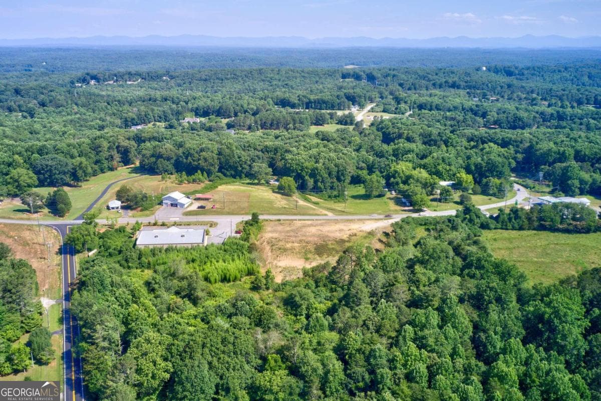 unimproved land for sale at 0 Nix Bridge Road, Dawsonville, GA 30534 — photo 8