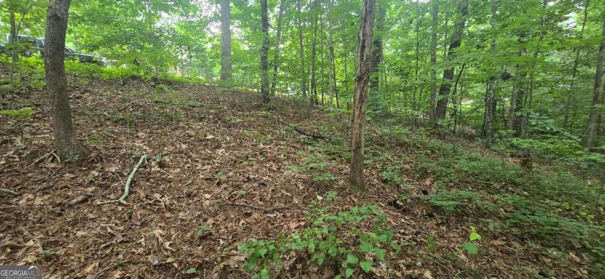residential lot for sale at LOT 9 Harris Creek Drive, Ellijay, GA 30540 — photo 2