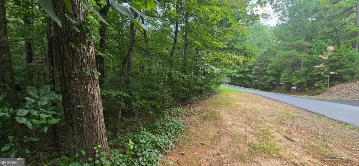 residential lot for sale at LOT 9 Harris Creek Drive, Ellijay, GA 30540 — photo 6