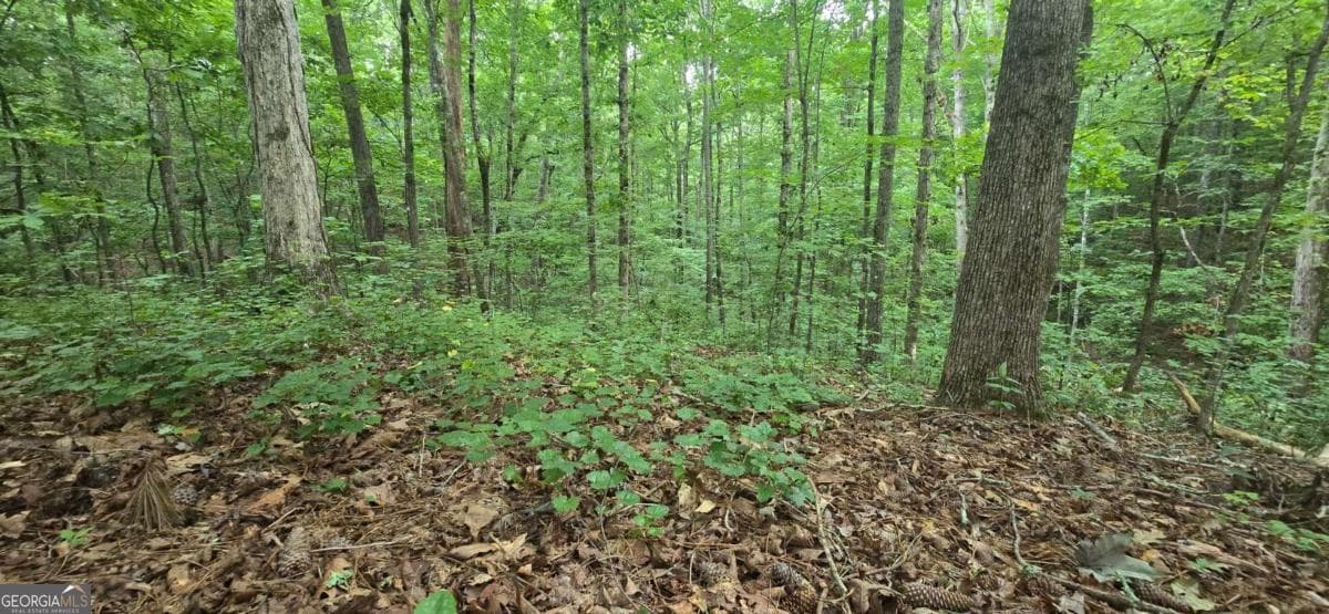 residential lot for sale at LOT 9 Harris Creek Drive, Ellijay, GA 30540 — photo 7
