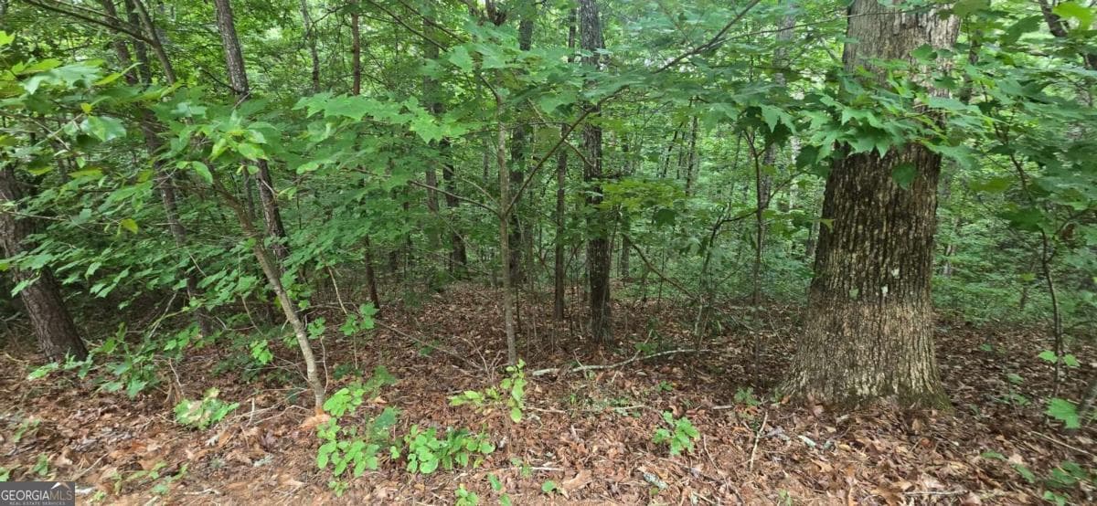 residential lot for sale at LOT 9 Harris Creek Drive, Ellijay, GA 30540 — photo 3