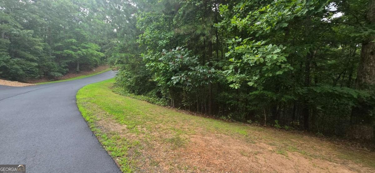 residential lot for sale at LOT 9 Harris Creek Drive, Ellijay, GA 30540 — photo 1 of 17