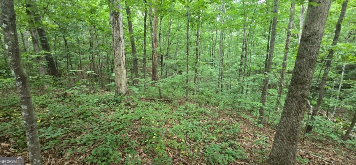 residential lot for sale at LOT 9 Harris Creek Drive, Ellijay, GA 30540 — photo 5